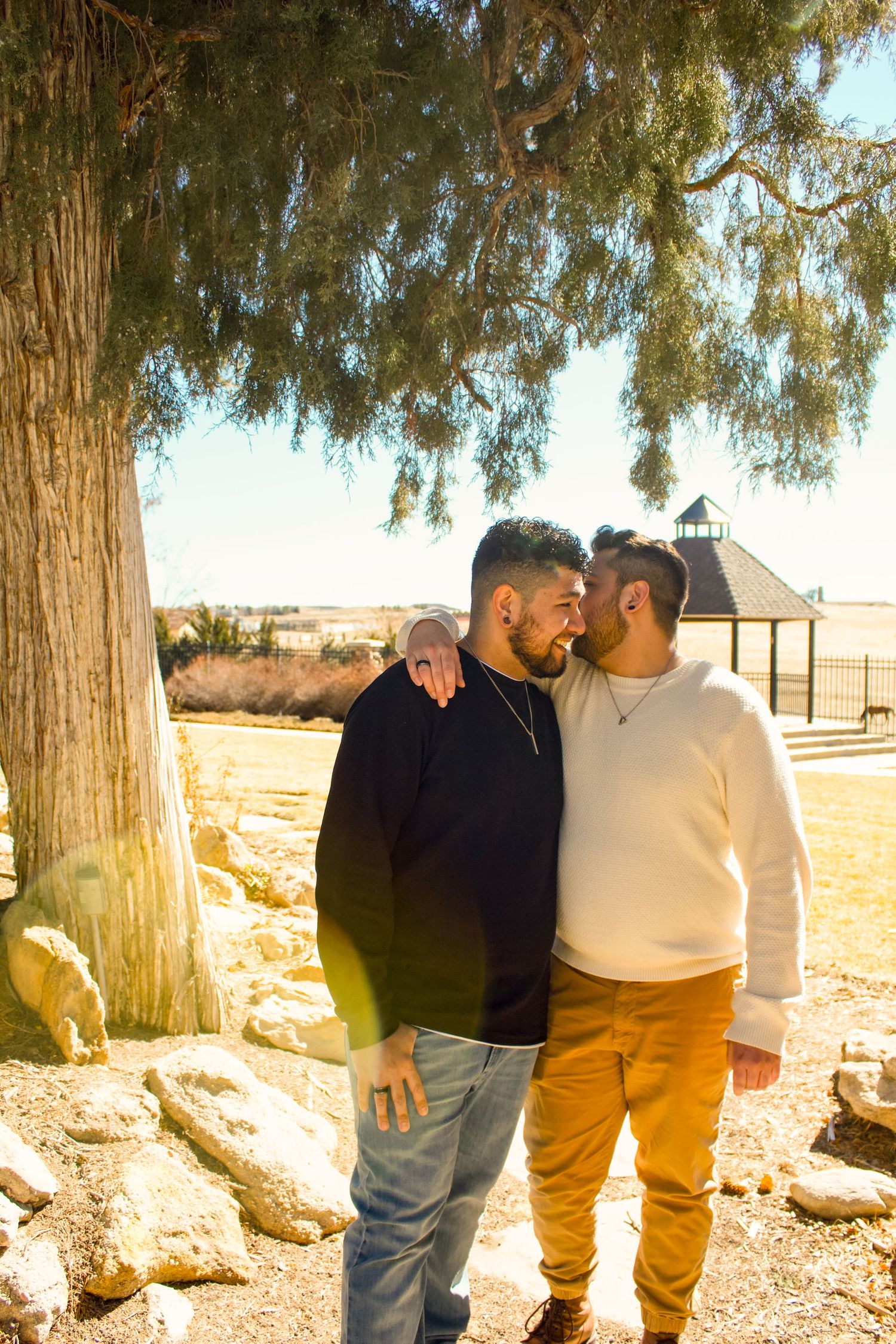 Two people embracing under drooping tree branches in afternoon sunlight.