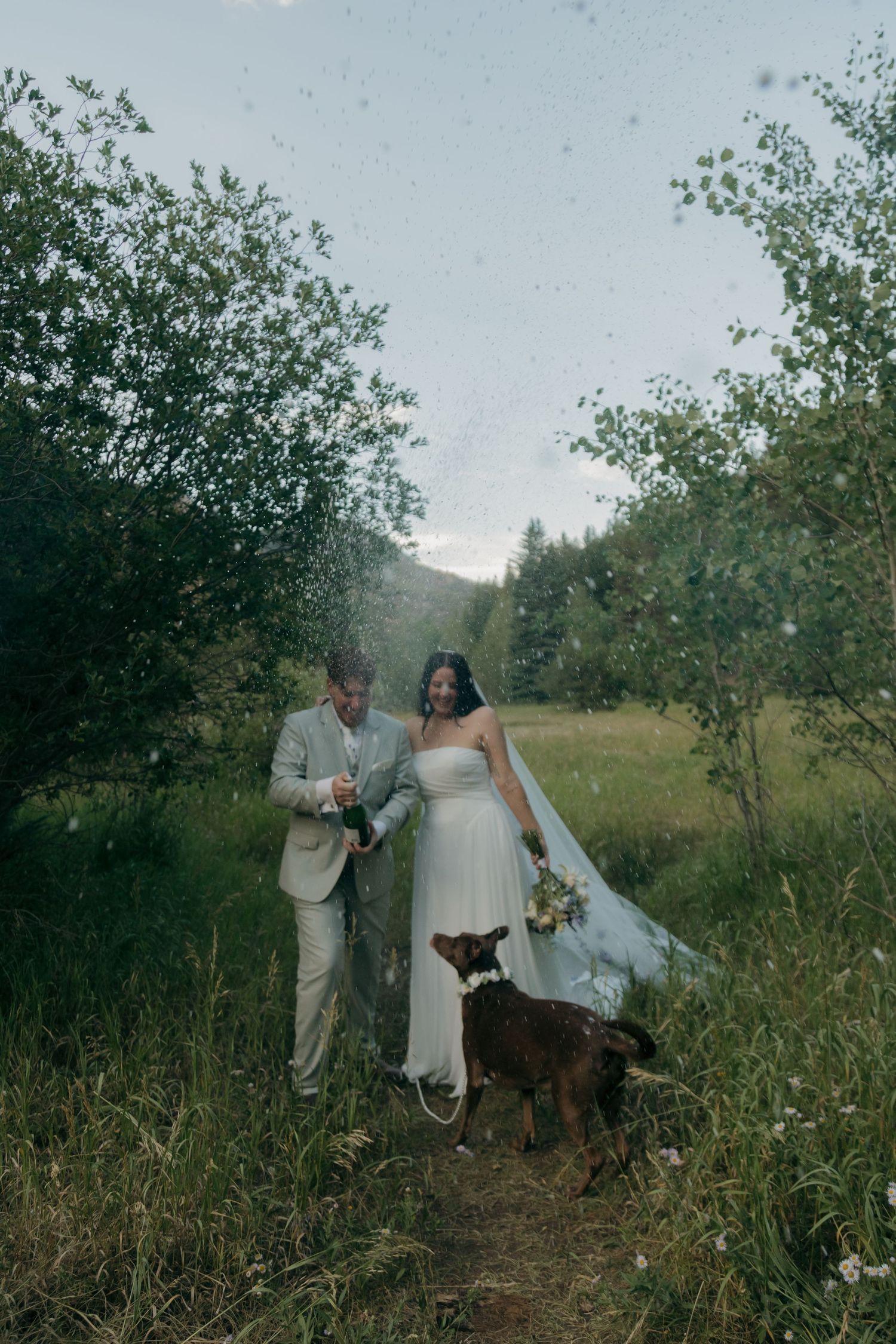 Joyful couple pops champagne with dog in lush forest meadow on wedding day.