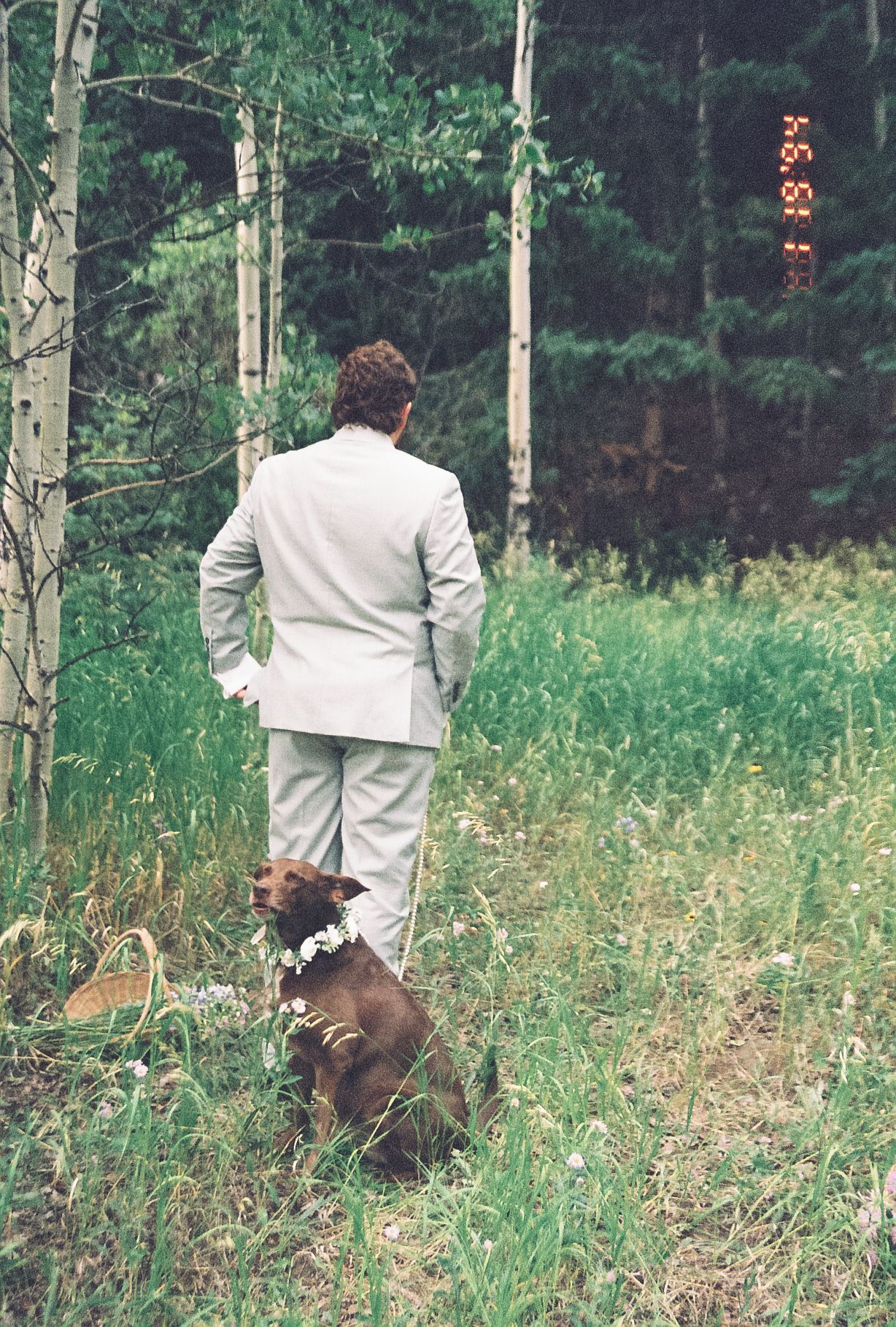 Groom in light gray suit stands in a lush forest meadow beside his brown dog wearing a floral collar during an elopement.