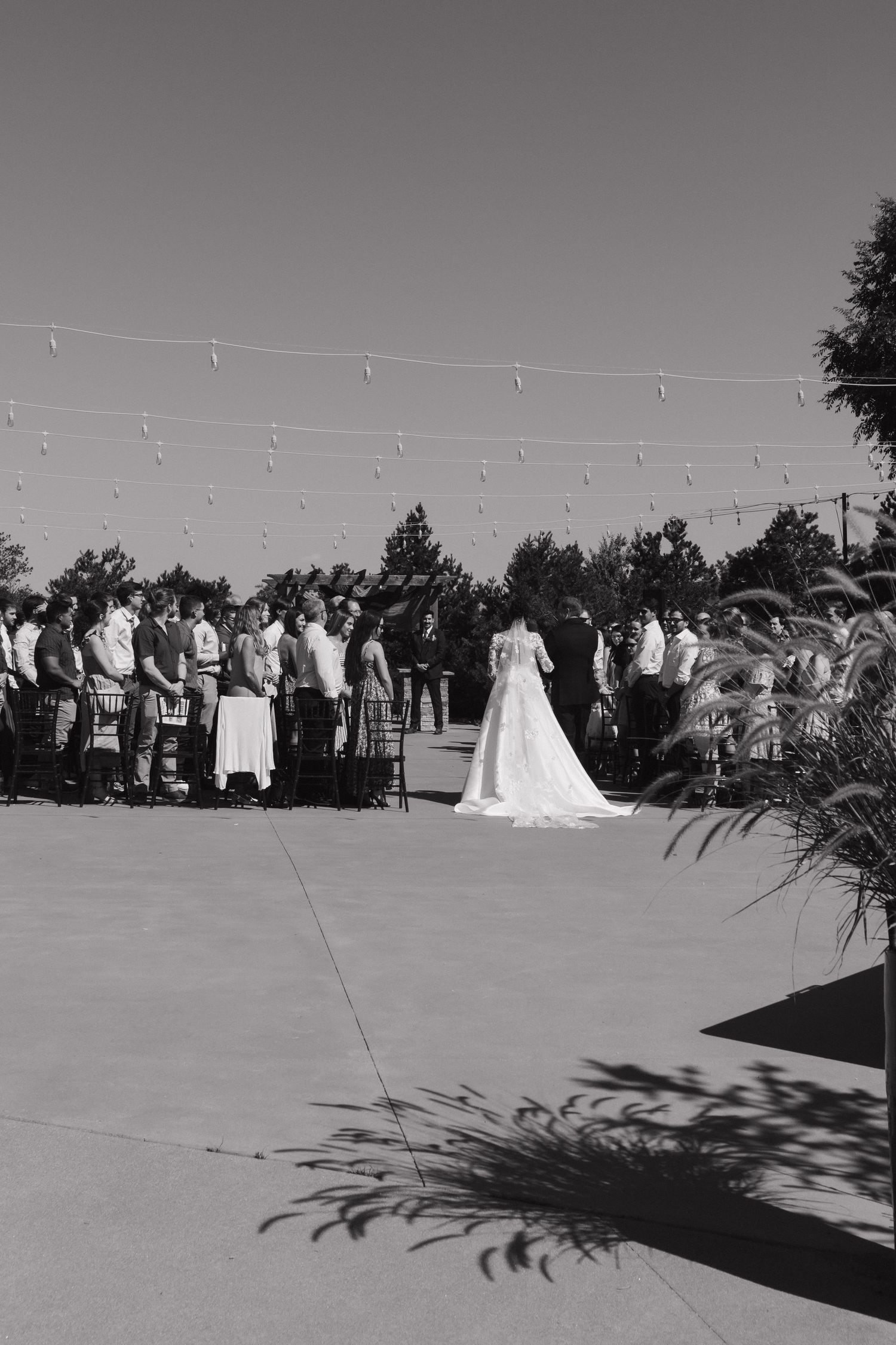 Wedding ceremony guests gathered outdoors under string lights on a sunny afternoon.