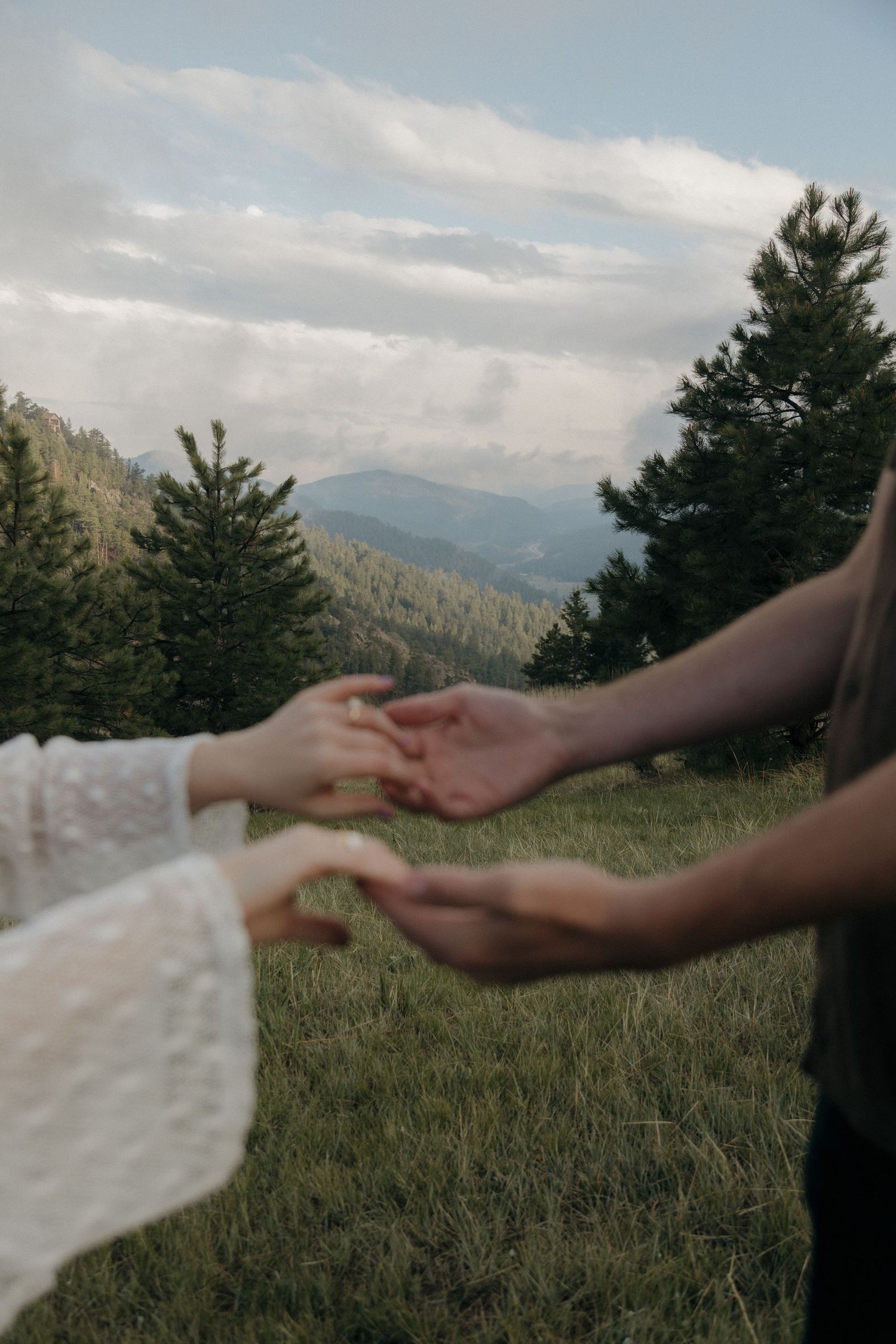 Couple reaching out to hold hands in a scenic mountain meadow with pine trees and cloudy sky.