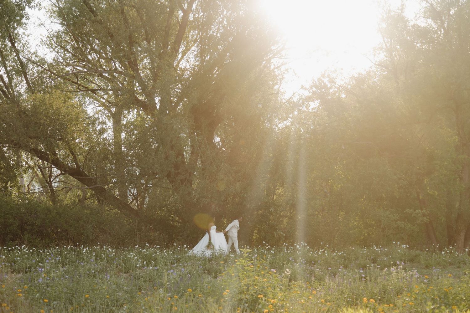 A bride and groom embrace in a sunlit field surrounded by wildflowers and trees during golden hour.