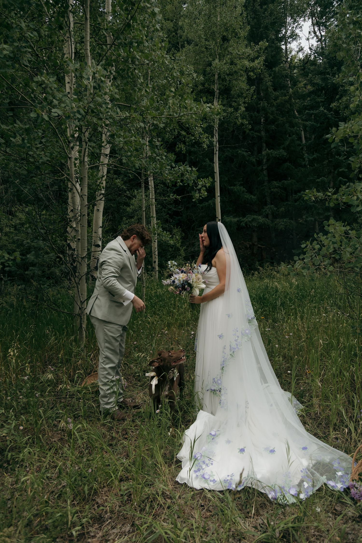 Bride in floral wedding gown and groom in gray suit stand with their dog among birch trees.