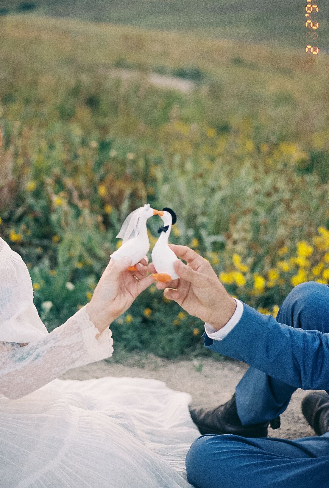 Bride and groom holding two small bird figurines dressed as wedding couple in a field of wildflowers.