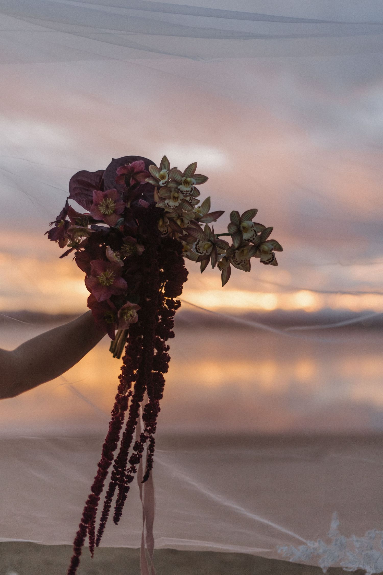 Dried floral bouquet held against a misty desert landscape with warm sunset colors in the background.