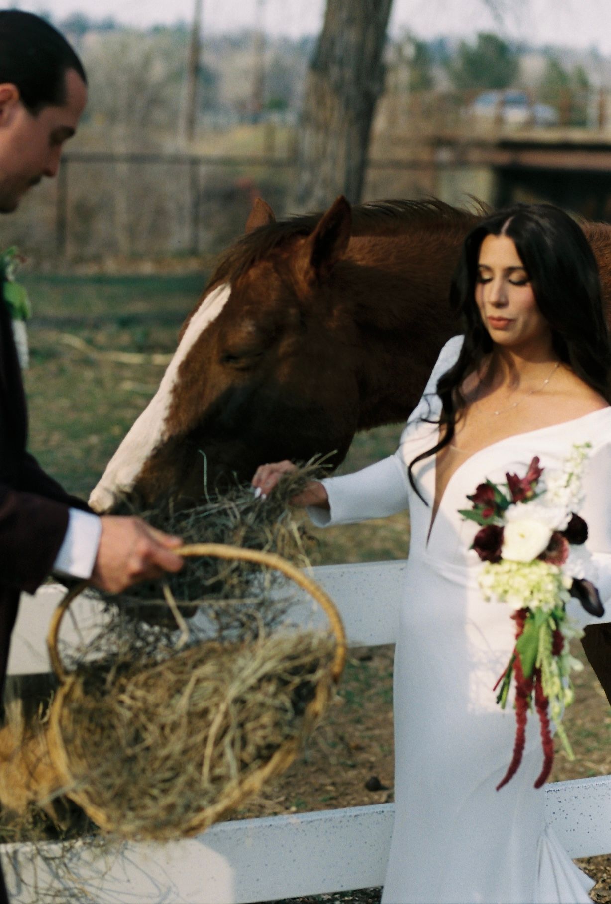 Bride holding bouquet and groom feed a chestnut horse at a rustic farm wedding.