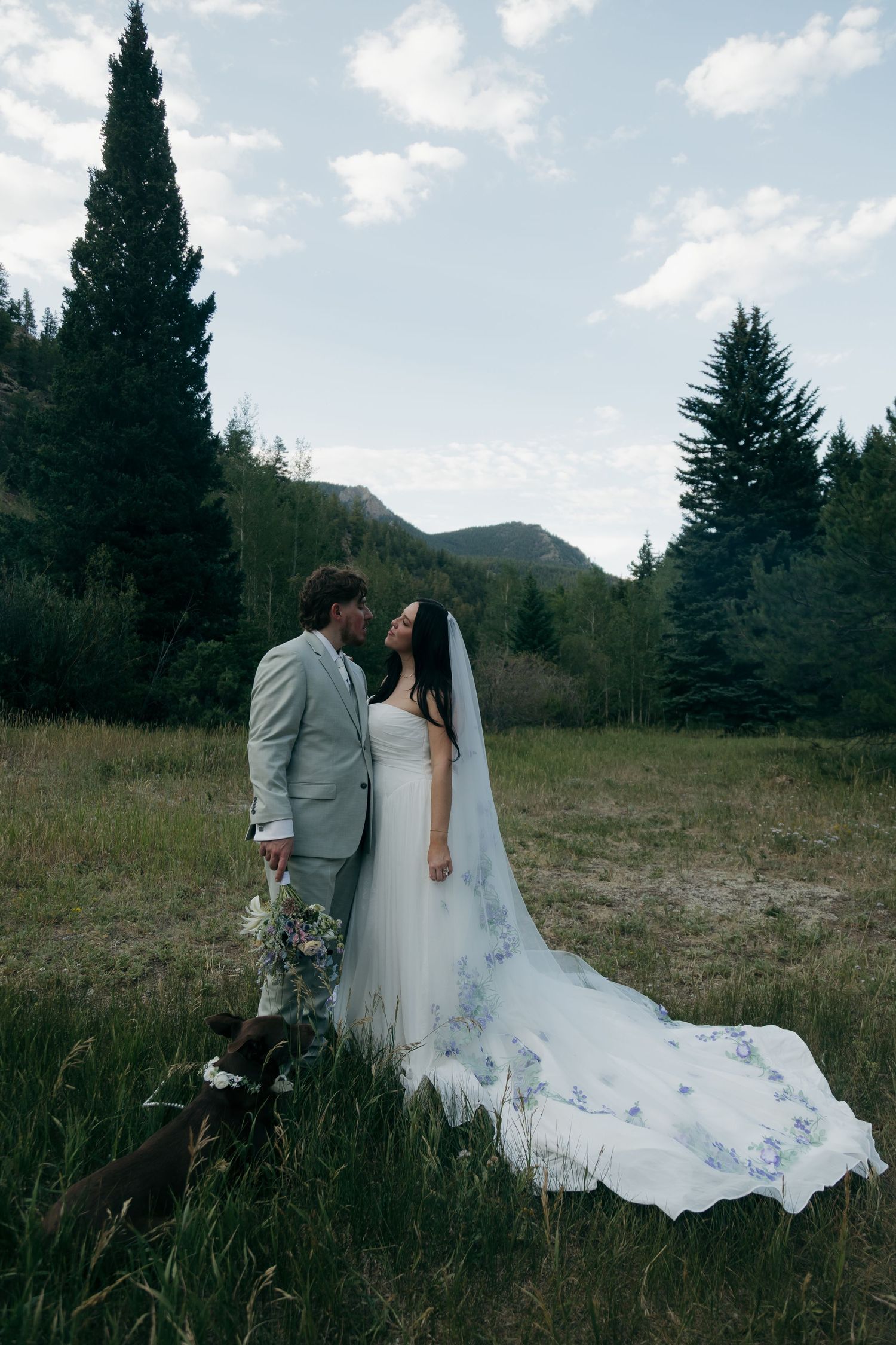 Bride and groom share a romantic moment in a mountain meadow, with a dog nearby and floral veil trailing.