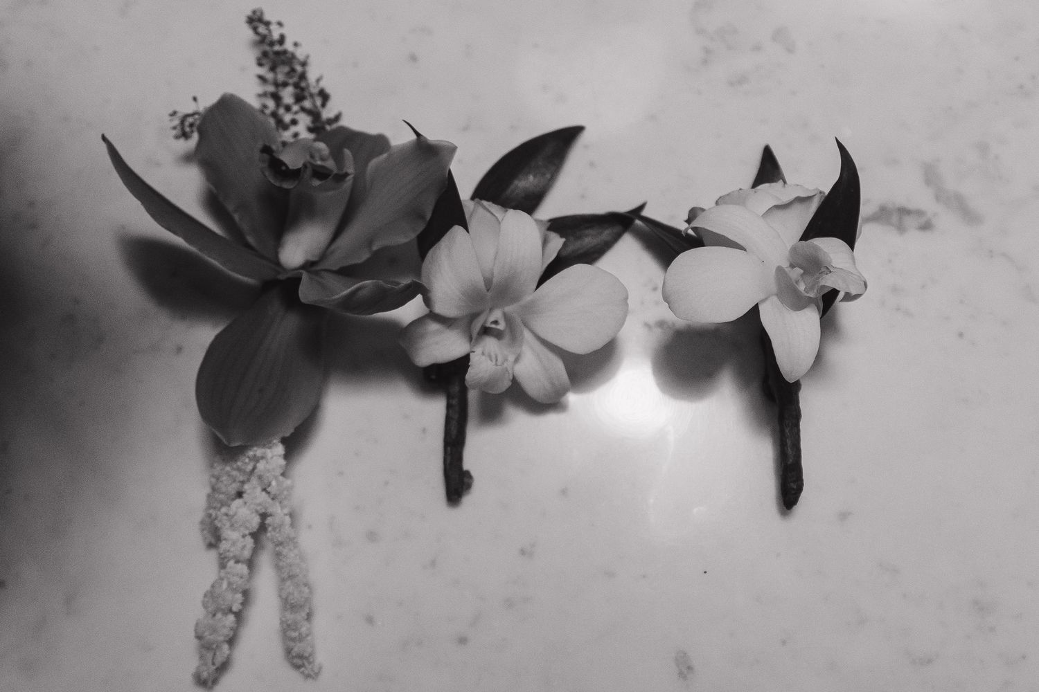 Black and white photo of three elegant orchid boutonnieres arranged on a marble surface.