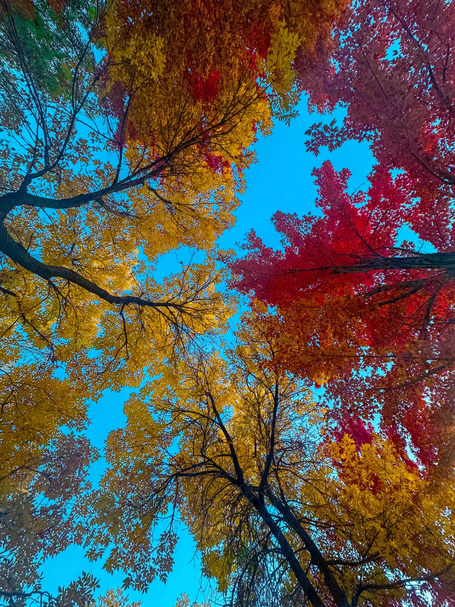 NATURE