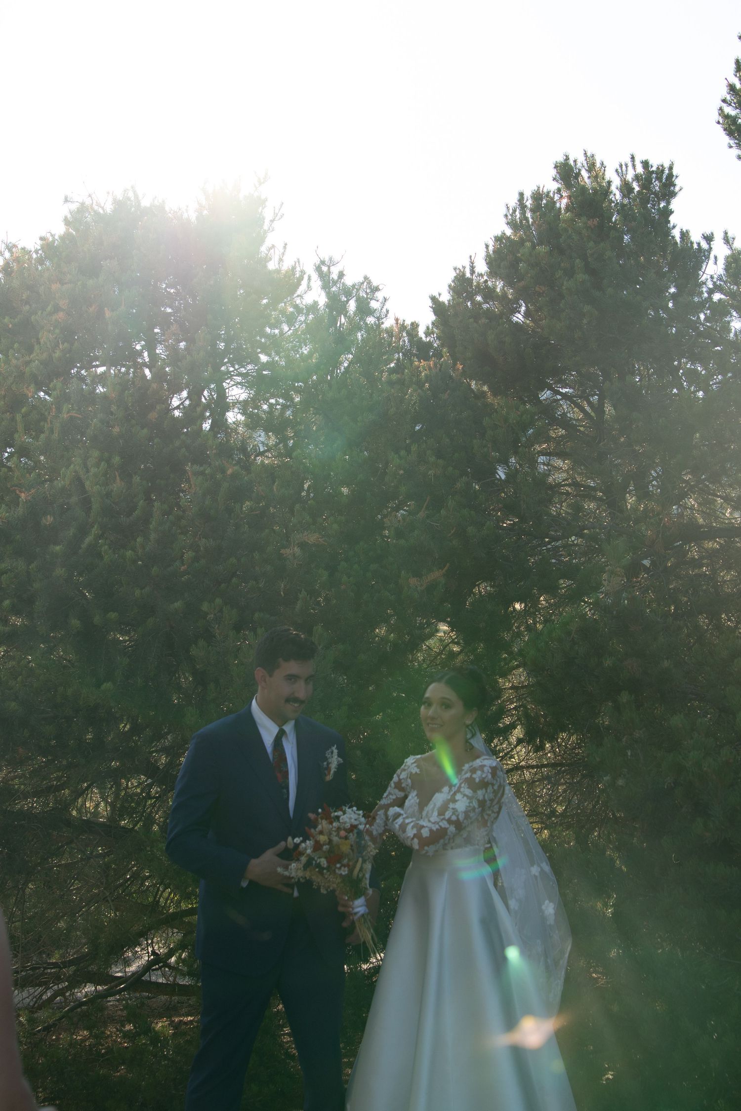 Wedding ceremony taking place outdoors with sunlight filtering through pine trees.