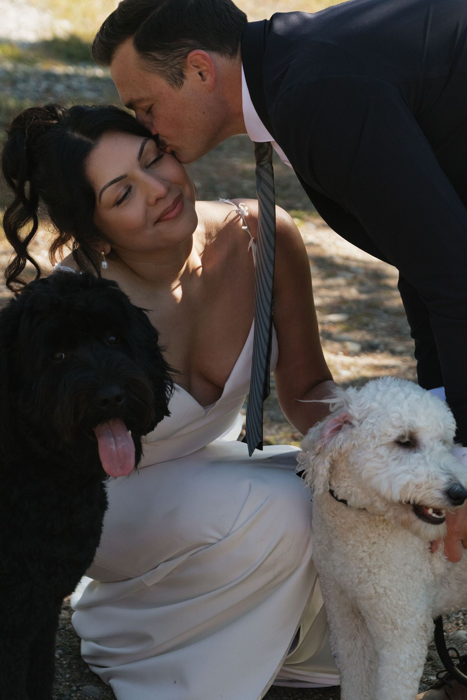 Candid wedding photos with two excited dogs jumping up to join in the celebration.