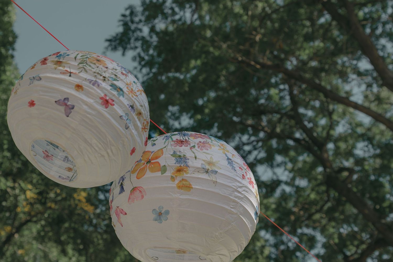 Paper lanterns with colorful decorative patterns hang from tree branches in an outdoor setting.