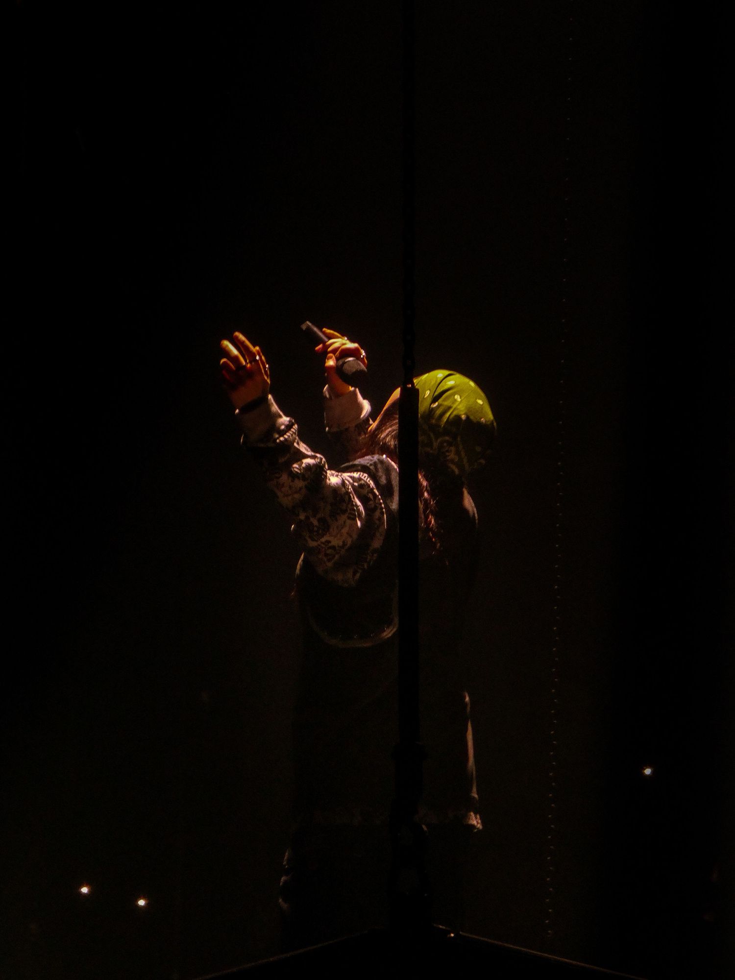 BILLIE EILISH CONCERT