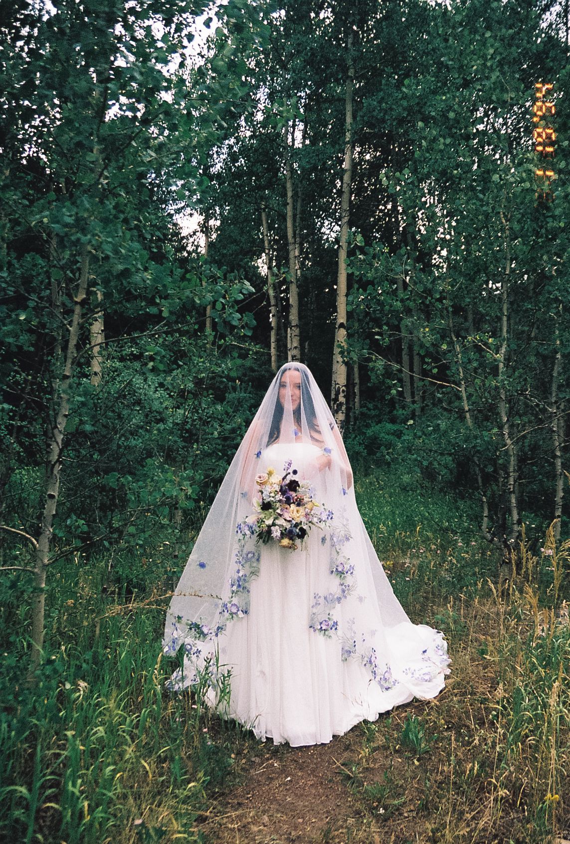 Bride in floral-embroidered veil and gown holds bouquet while standing among tall aspen trees.