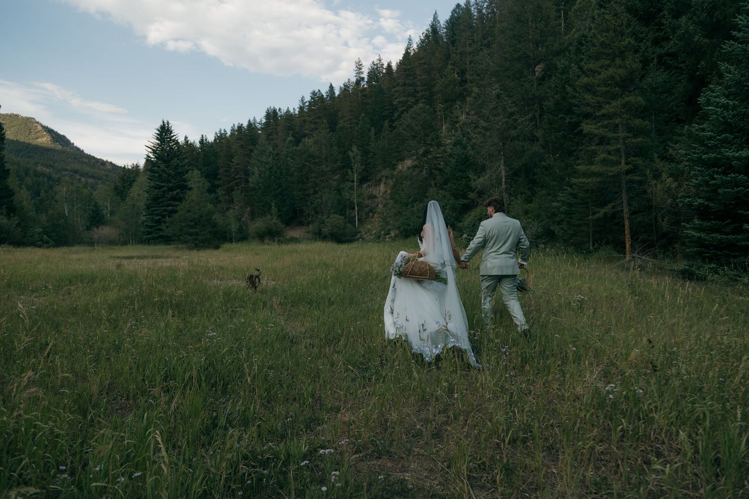 Bride and groom walk hand in hand through mountain meadow with dense pine forest and peaks in background.