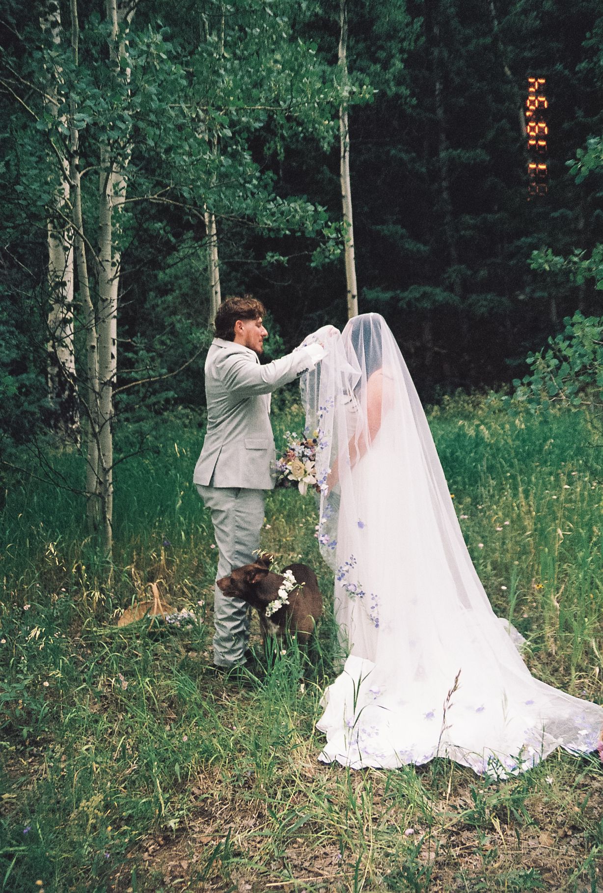 Groom lifts bride's floral cathedral veil in forest clearing, both in wedding attire, film photo.