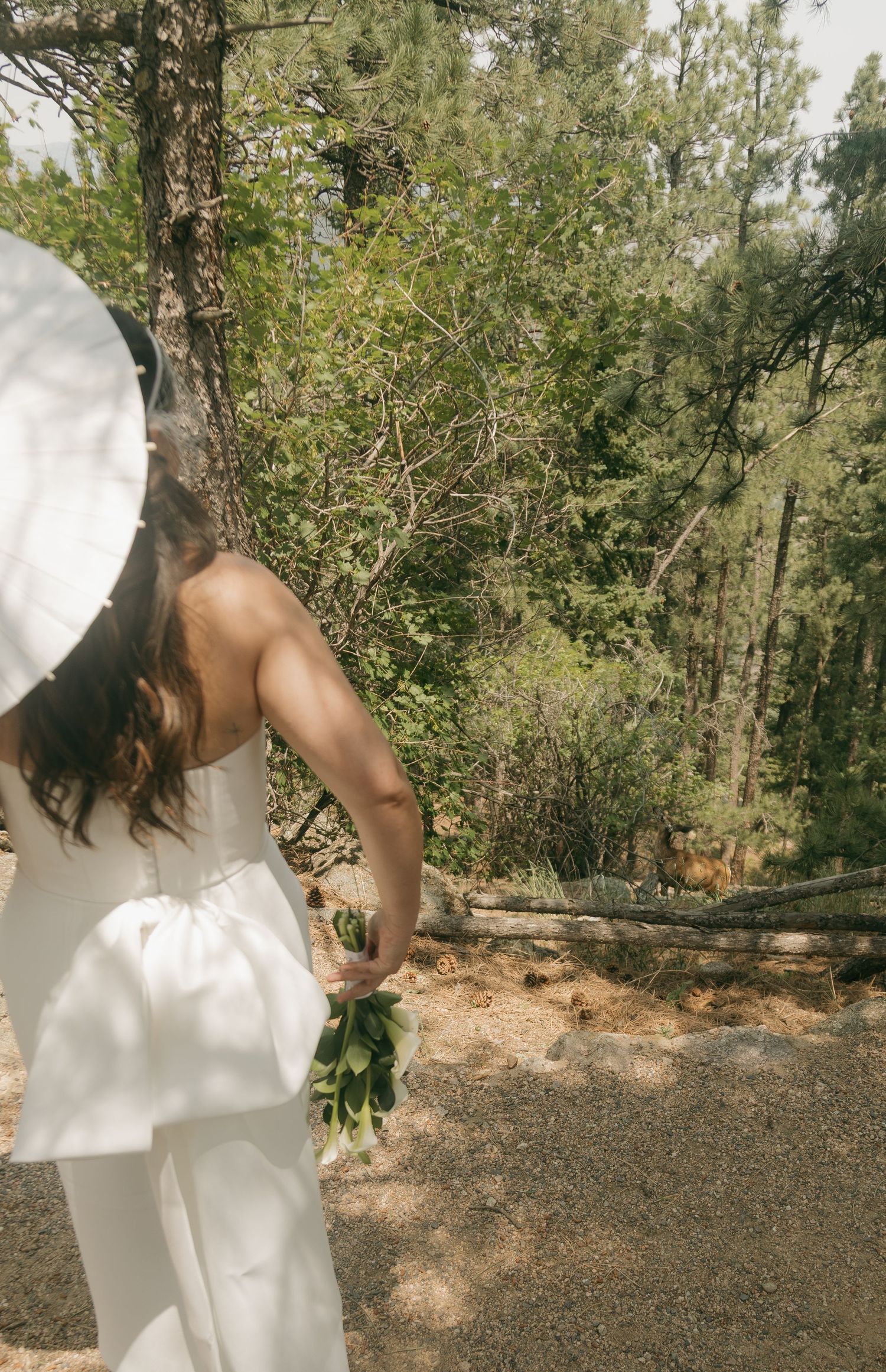 Bride in a white strapless gown and wide-brim hat walks along a forest path holding a small green bouquet.