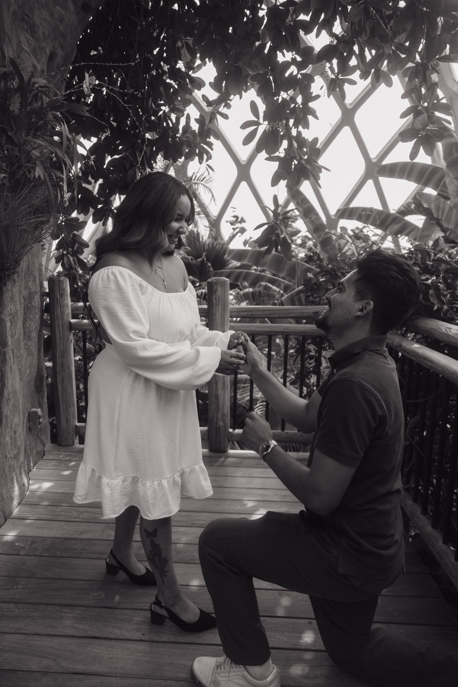 Man proposing on one knee to woman in white dress inside a tropical greenhouse, black and white photo.