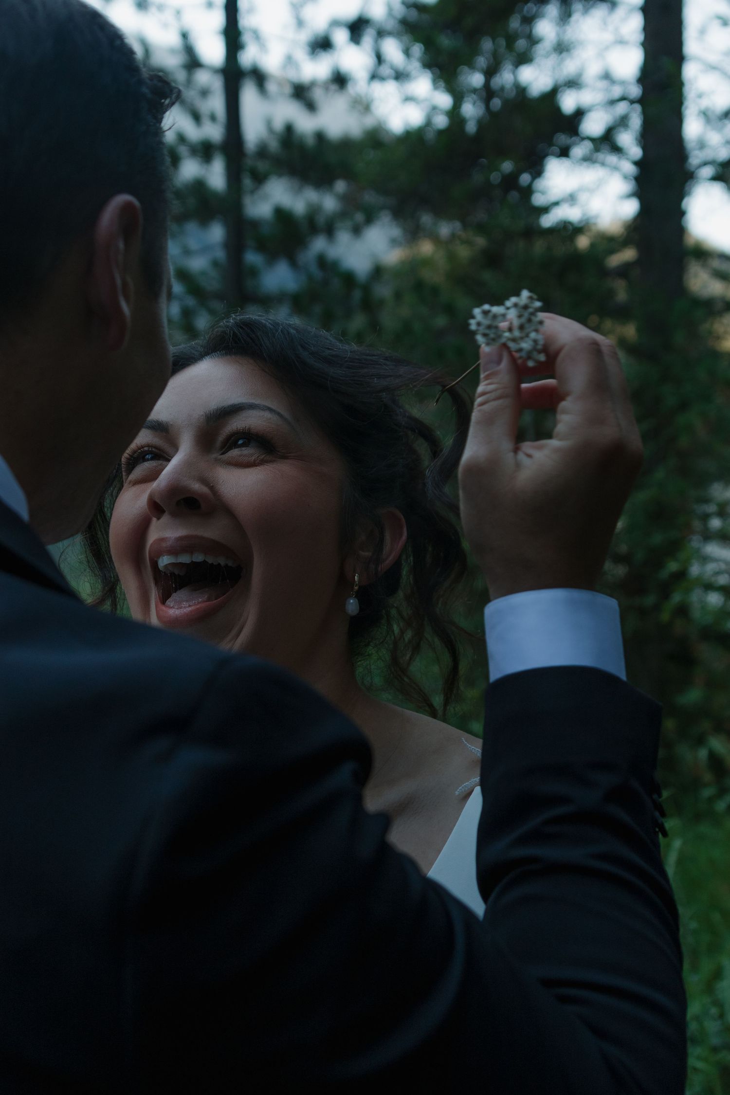 Joyful wedding moments captured in a series of candid expressions against a forest backdrop.