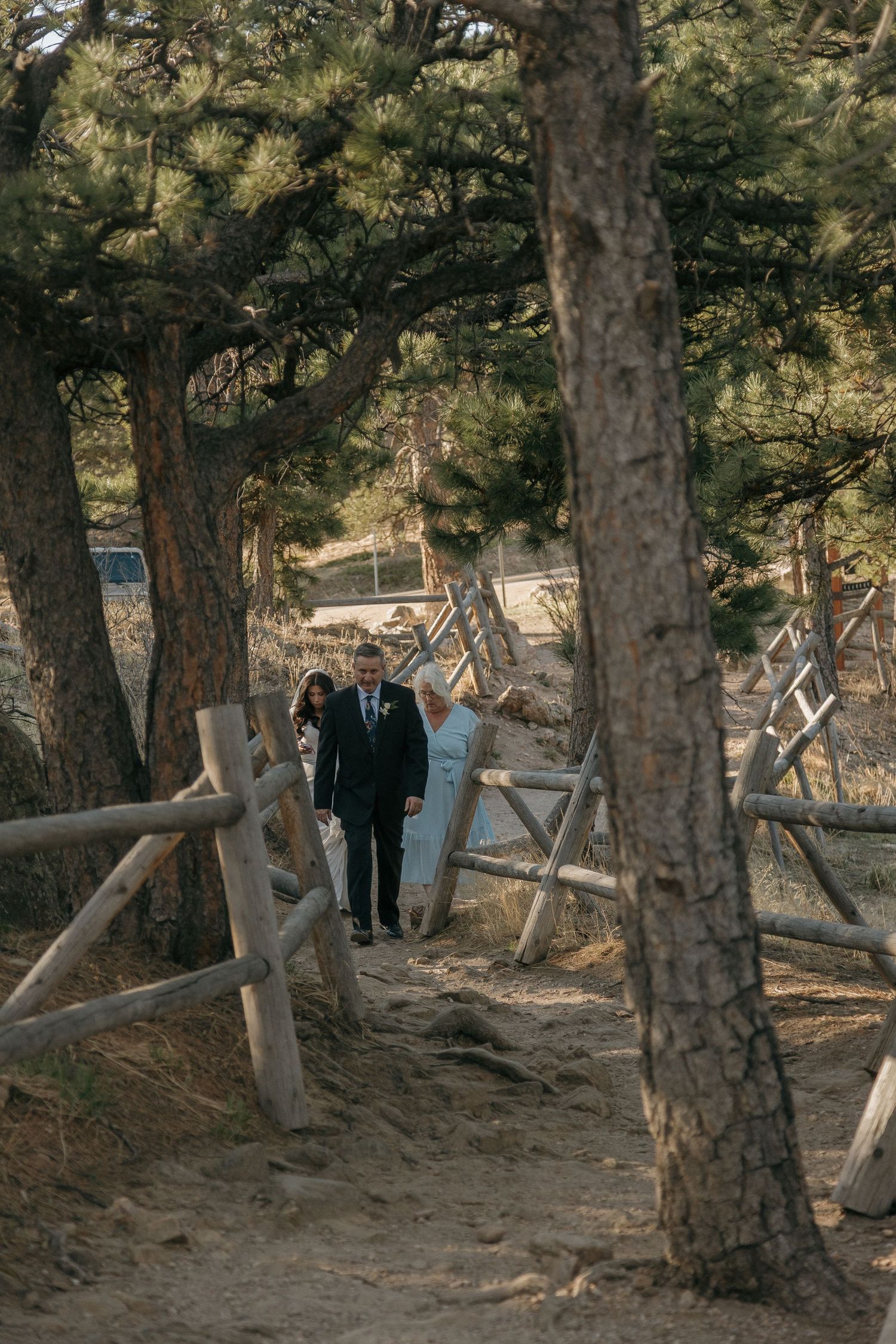 Bride and groom walking hand in hand along a pine tree lined mountain path with wooden fence.