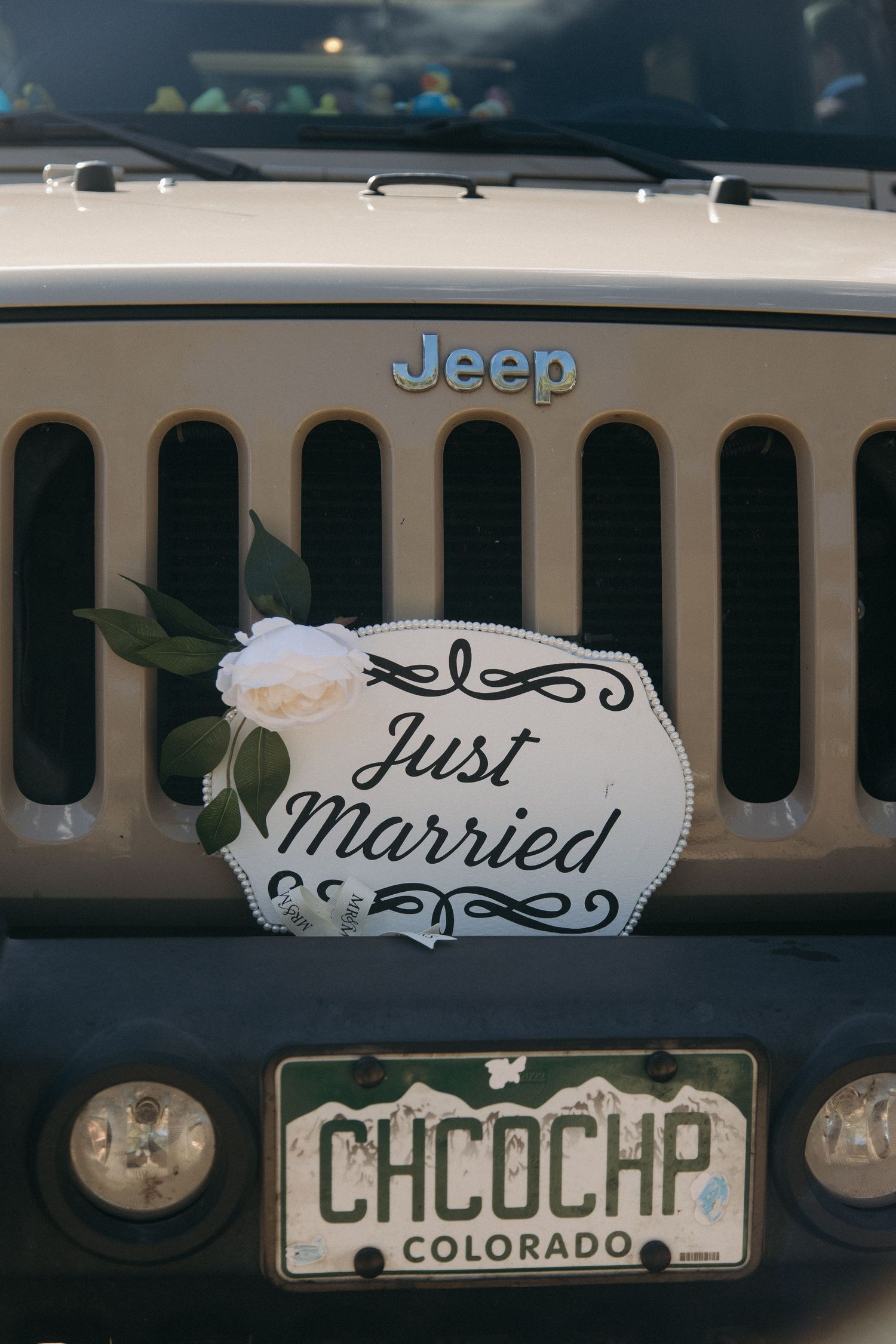 Just Married sign with white flower on a Jeep grille with Colorado license plate CHCOCHP.