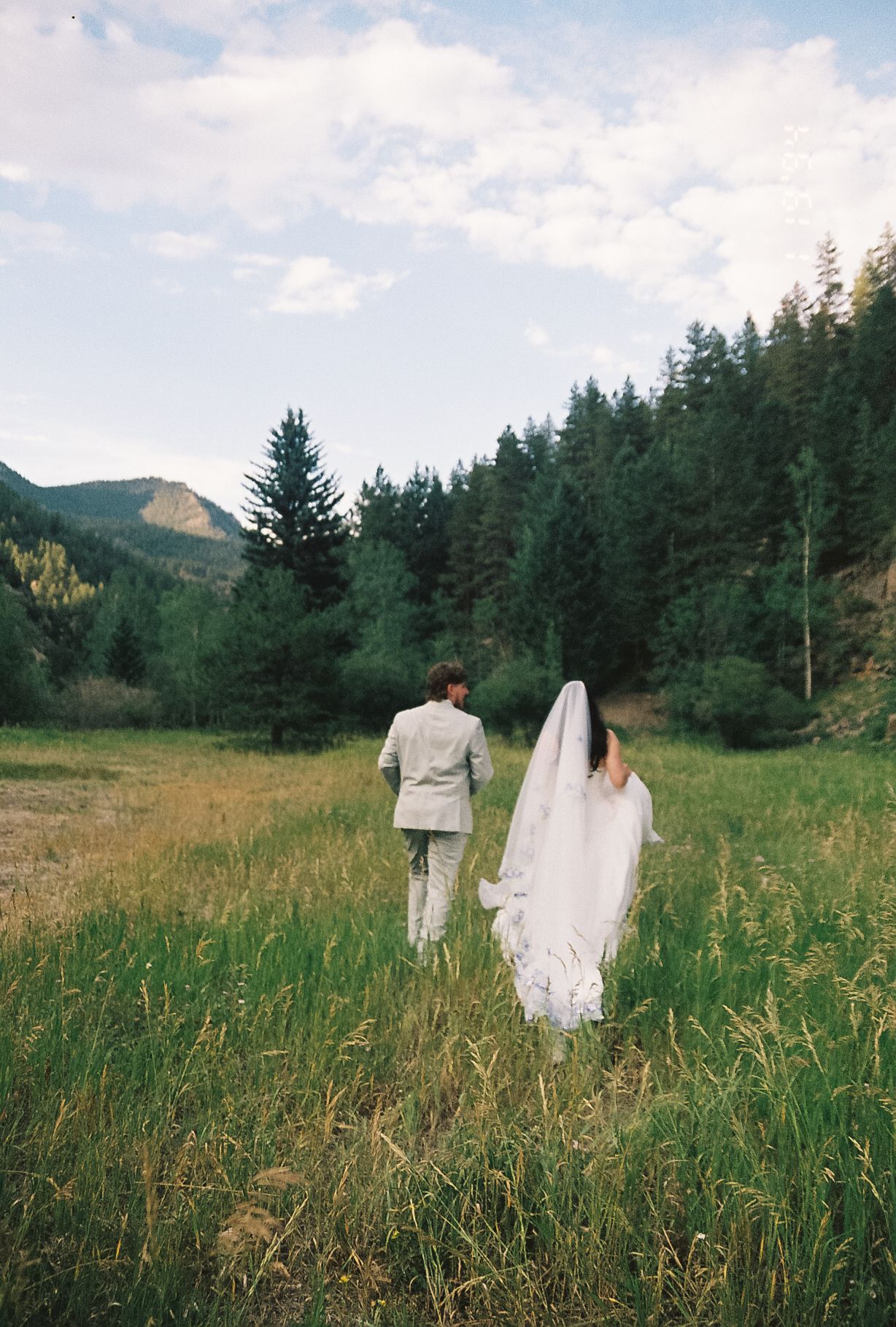 Bride and groom walking hand in hand through mountain meadow with forest backdrop.