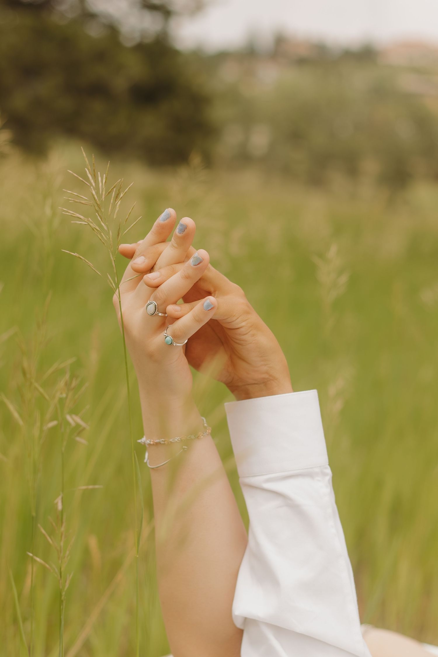 Clasped hands with rings displayed among tall grass stems in warm sunlight.
