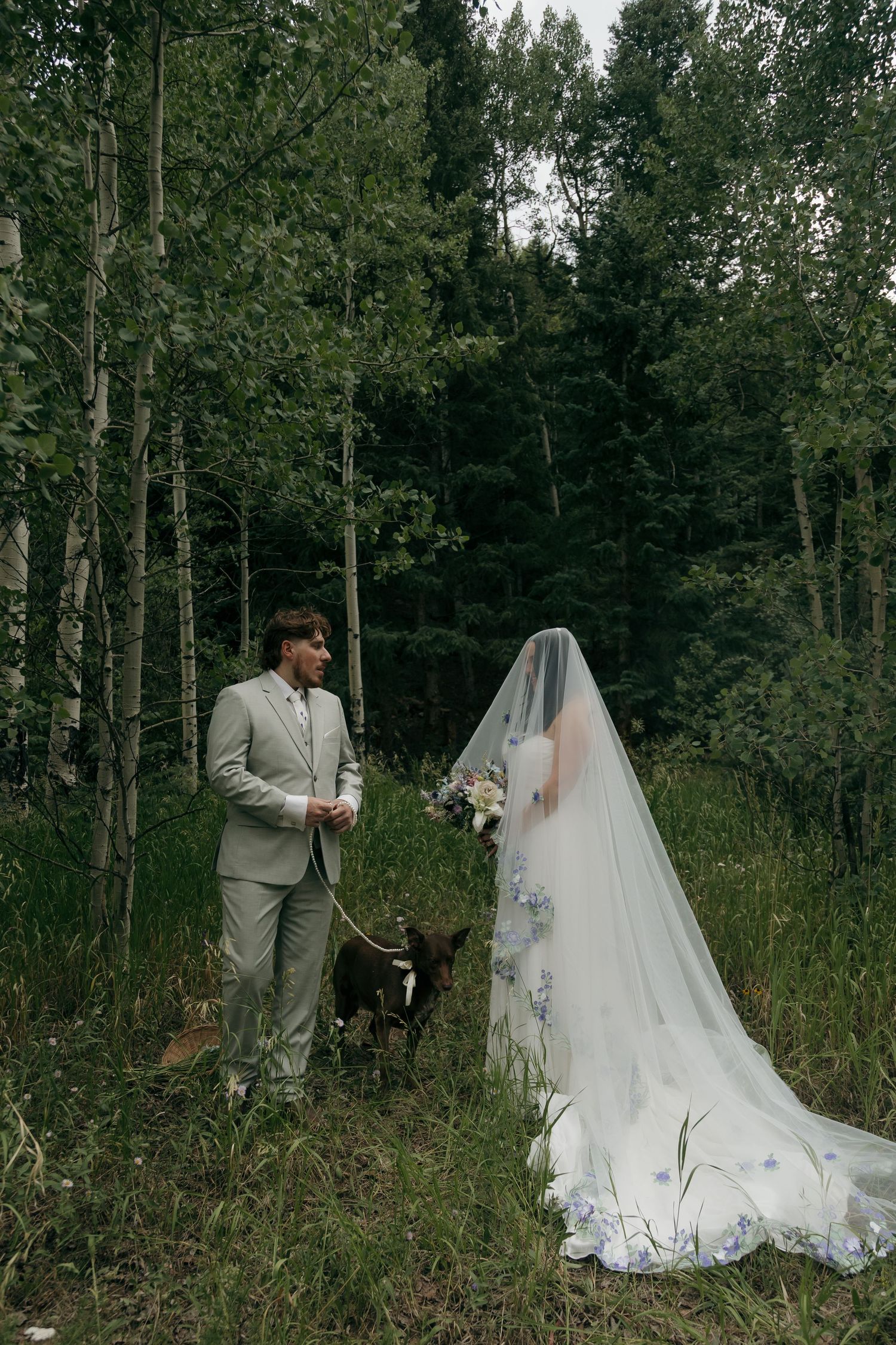 Groom in grey suit holds dog leash beside veiled bride with floral cathedral veil in forest.