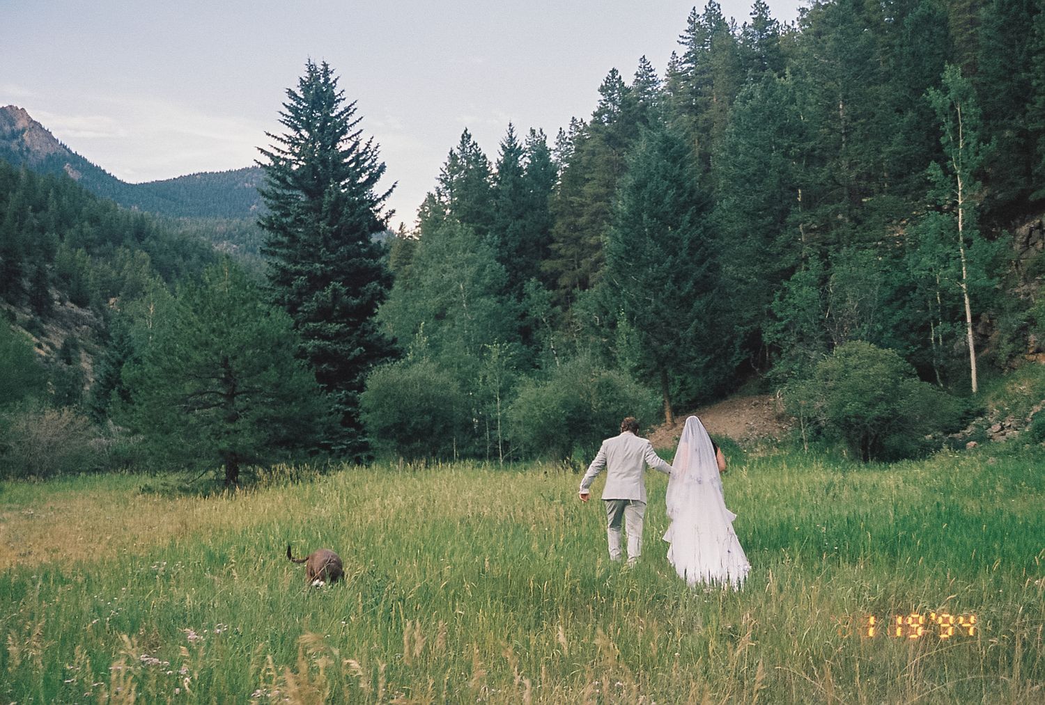 Bride and groom walk hand-in-hand through a mountain meadow with their dog on a film photograph.