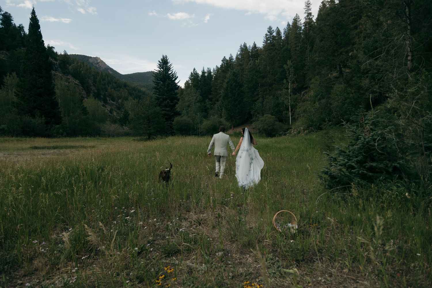 Newlyweds walk hand-in-hand through a scenic mountain meadow with their dog on wedding day.