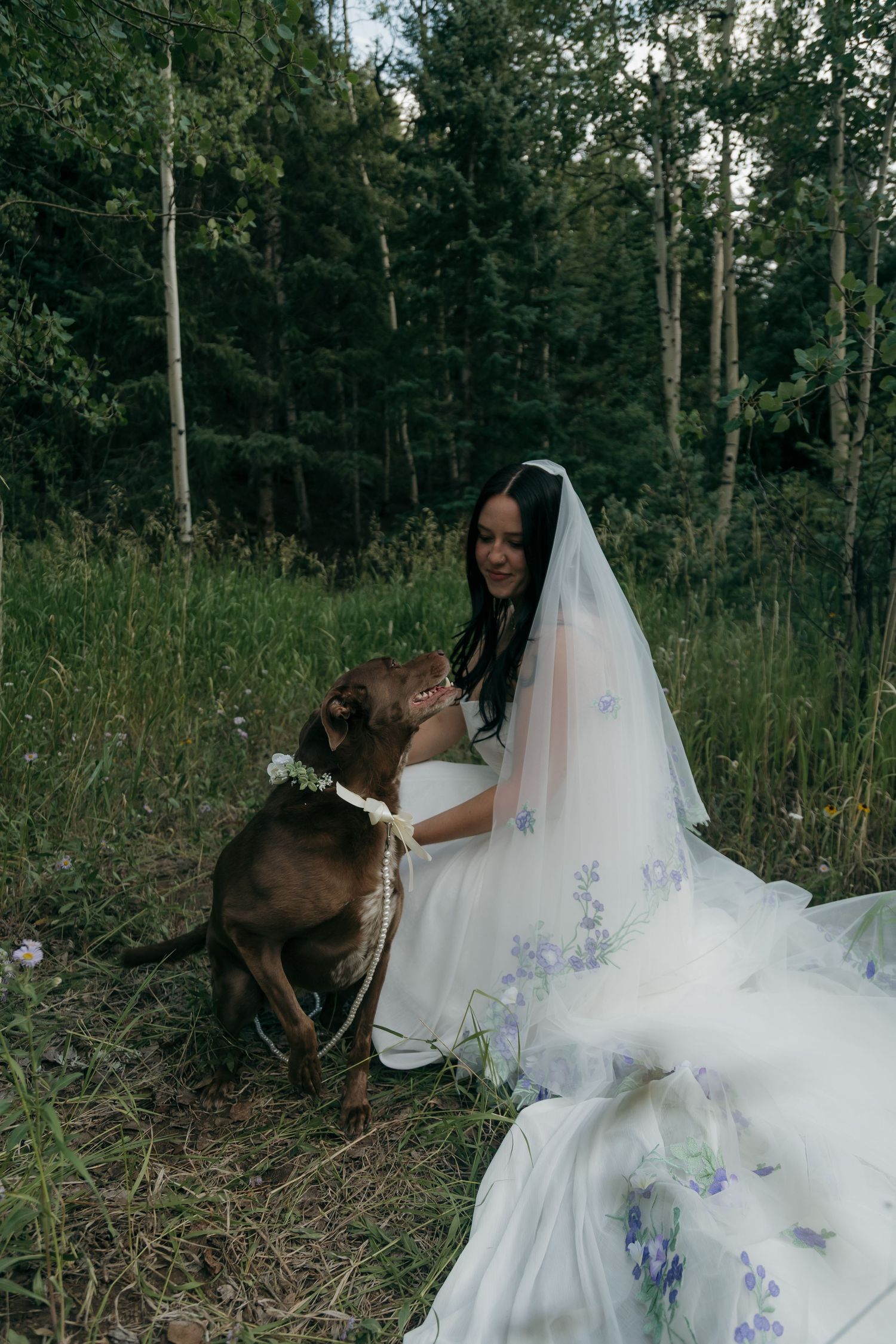 Smiling bride in blue floral wedding dress kneels to cuddle her chocolate lab wearing a flower crown.