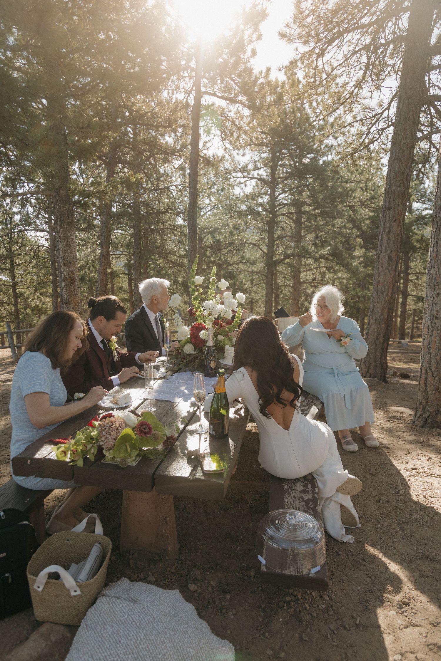 Wedding party celebrates at rustic picnic table in sunlit pine forest after elopement.