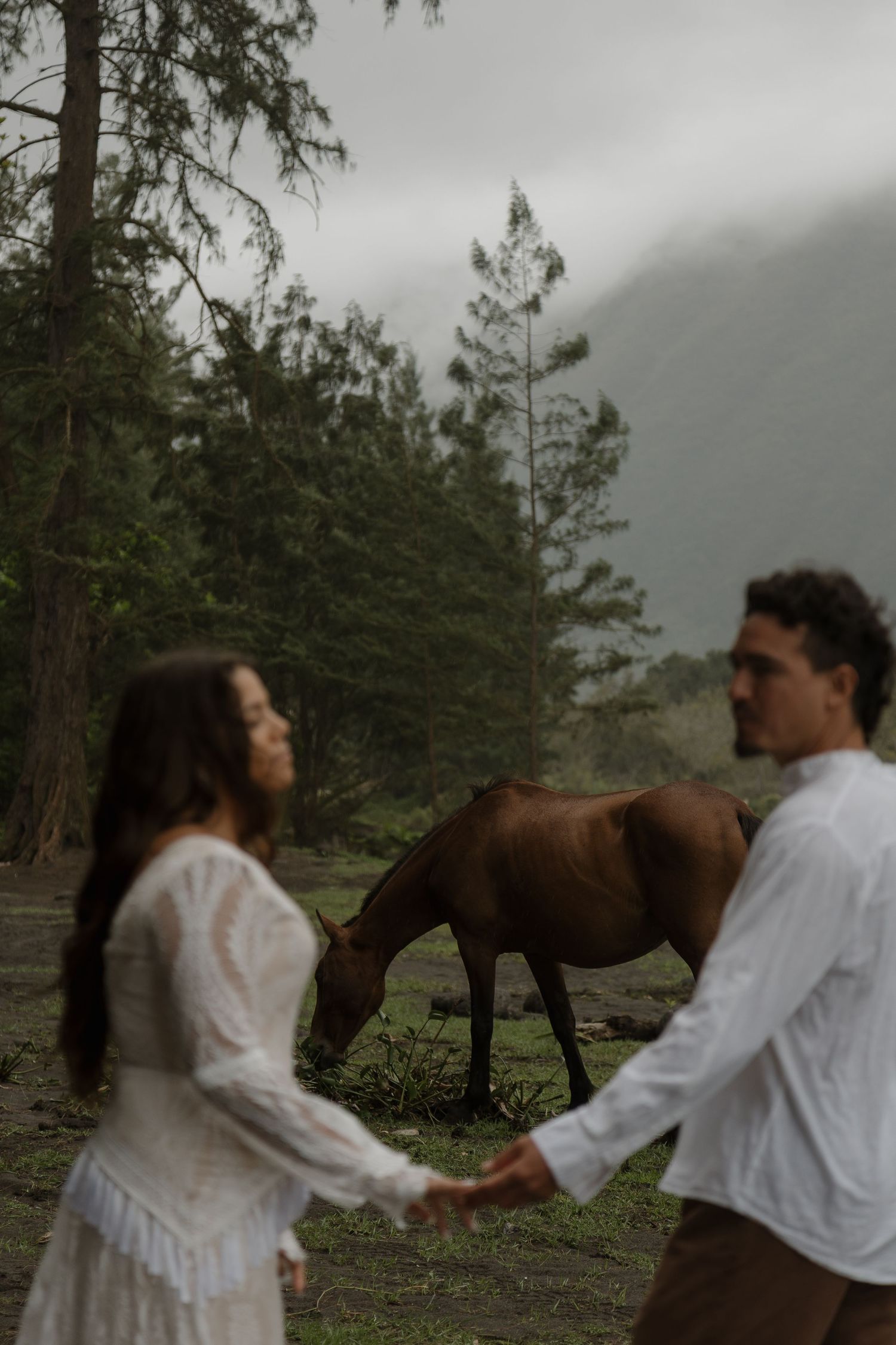 Couple holds hands in a misty forest while a brown horse grazes peacefully in the background.