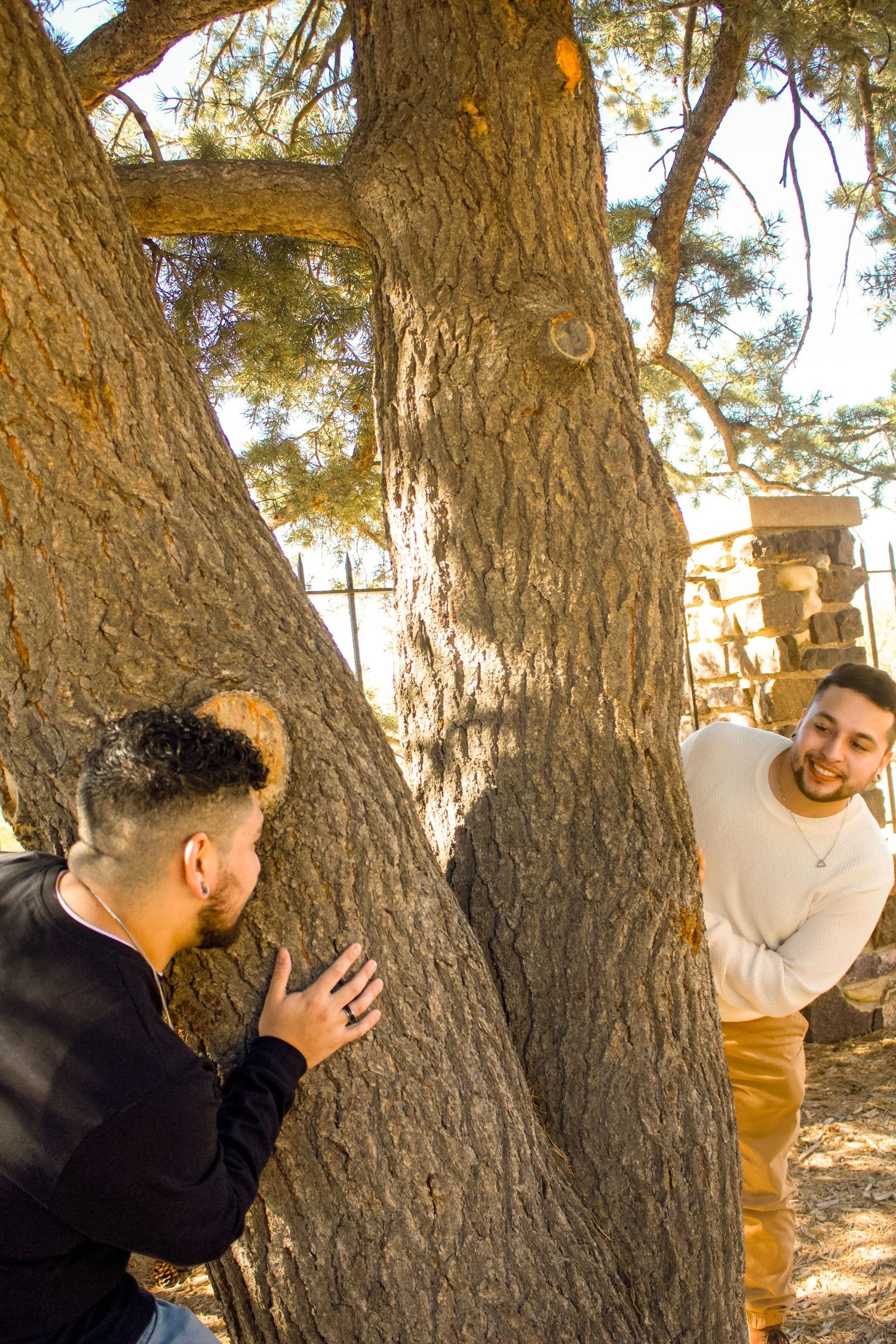 Two people playing hide and seek around a large tree trunk in sunlit park.