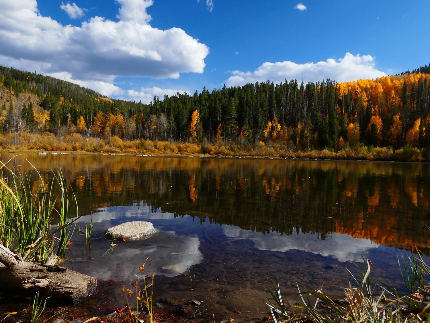 COLORADO LANDSCAPE