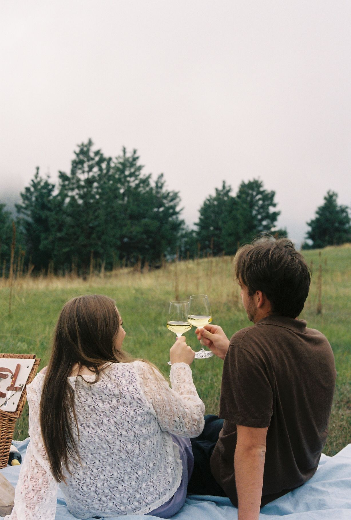 Couple clinking white wine glasses while sitting on a blanket in a scenic green meadow.