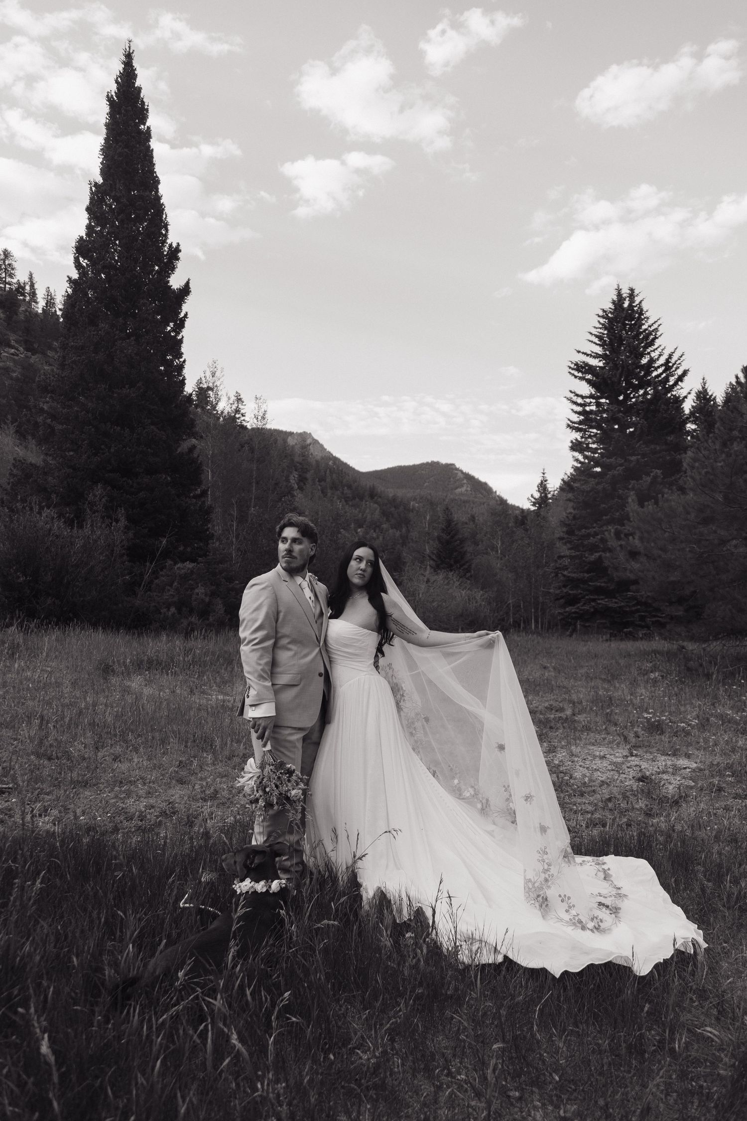 Bride and groom pose elegantly in a mountain meadow with veil flowing in the wind, black and white.
