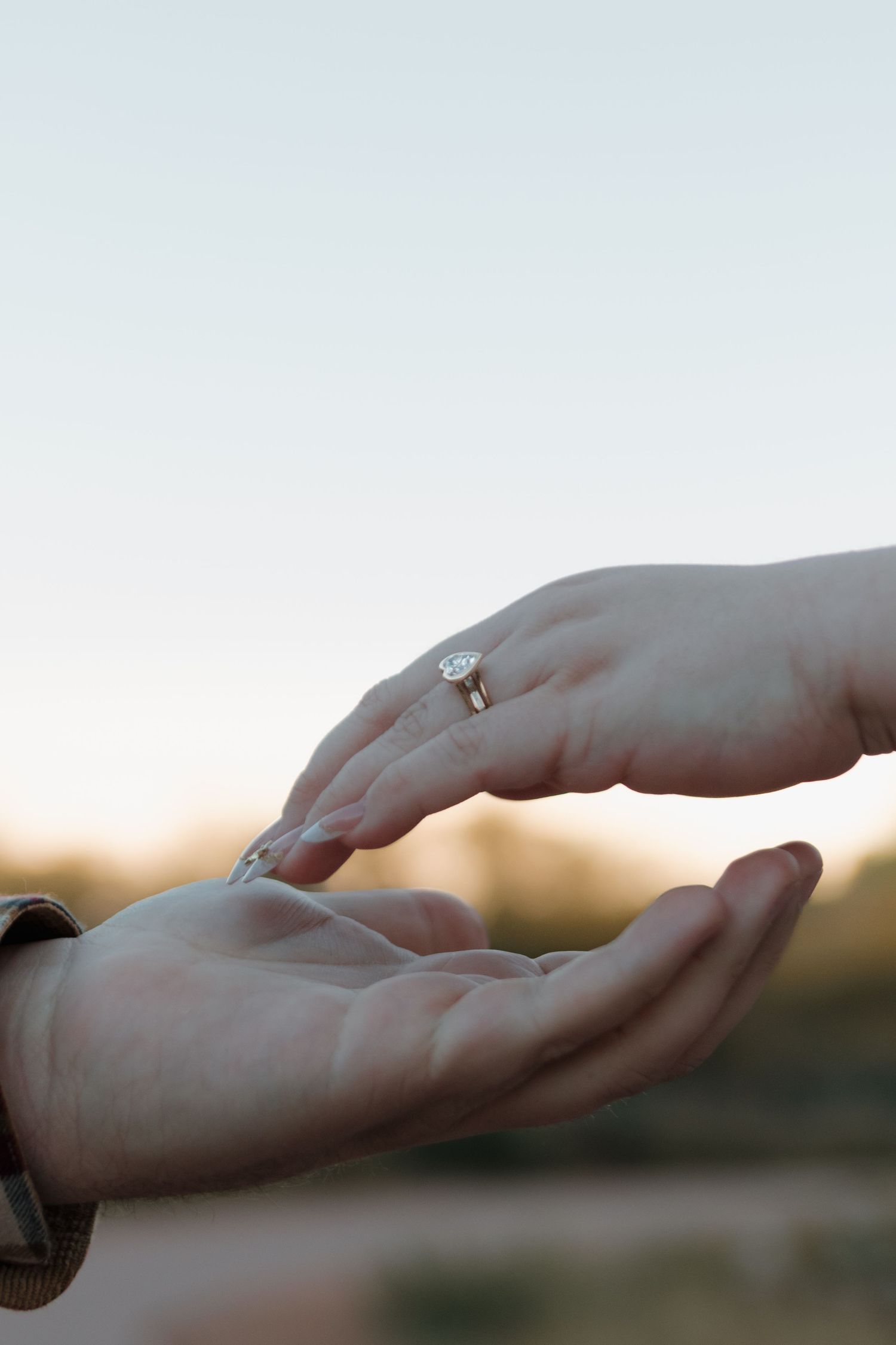 A sequence of hands releasing a butterfly into the sunset sky shows a gentle moment of freedom and nature.