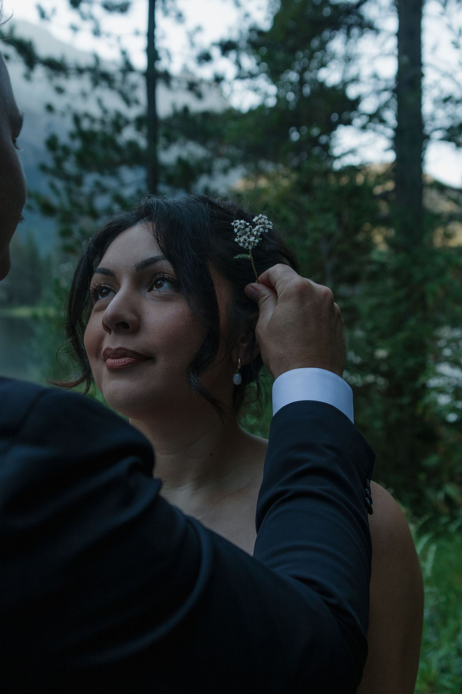 Wedding photography sequence showing delicate moments between couple against forest backdrop.