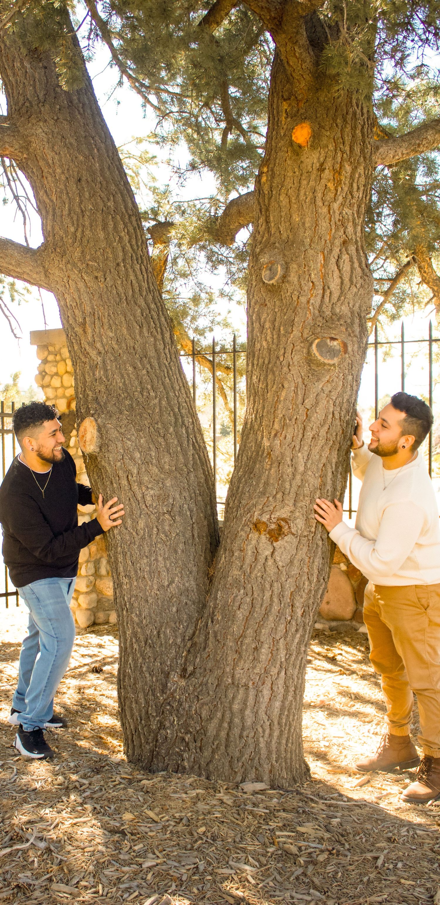 Two people standing on opposite sides of a large tree trunk playing peek-a-boo.
