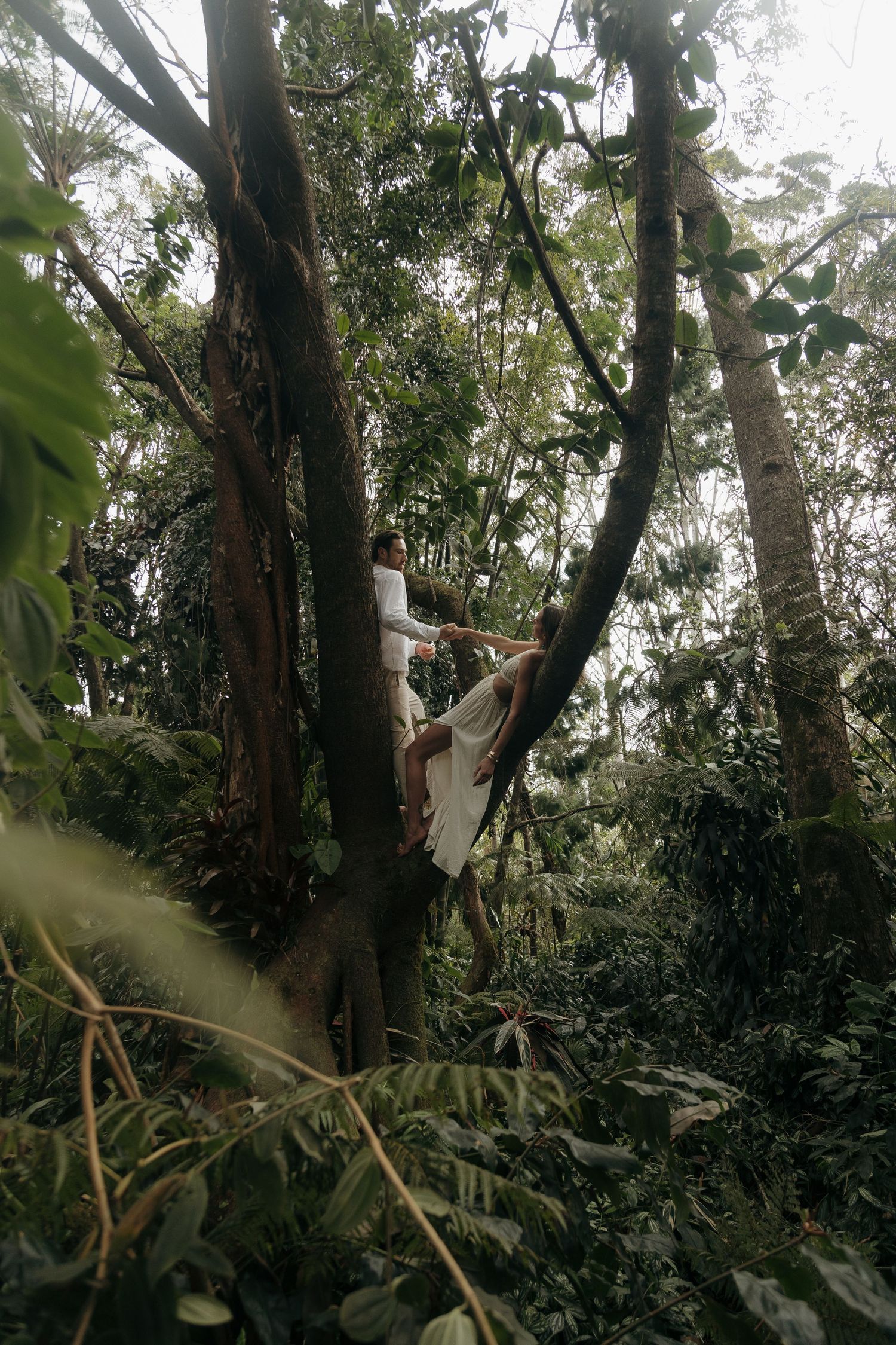 A person in white clothing climbs a curved tree trunk in a lush tropical forest setting.