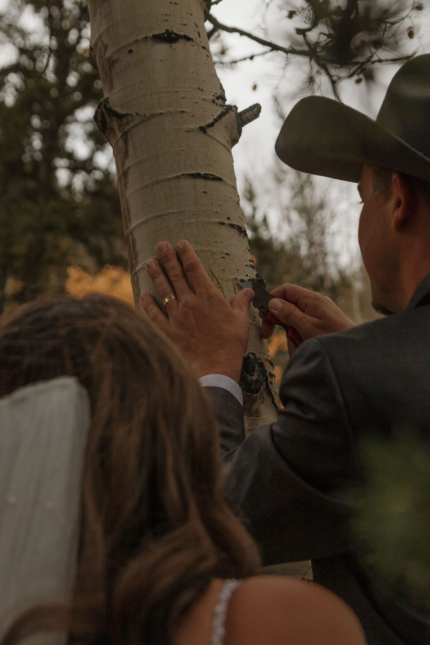 Two hands touch the rough bark of an aspen tree trunk in a romantic forest setting.