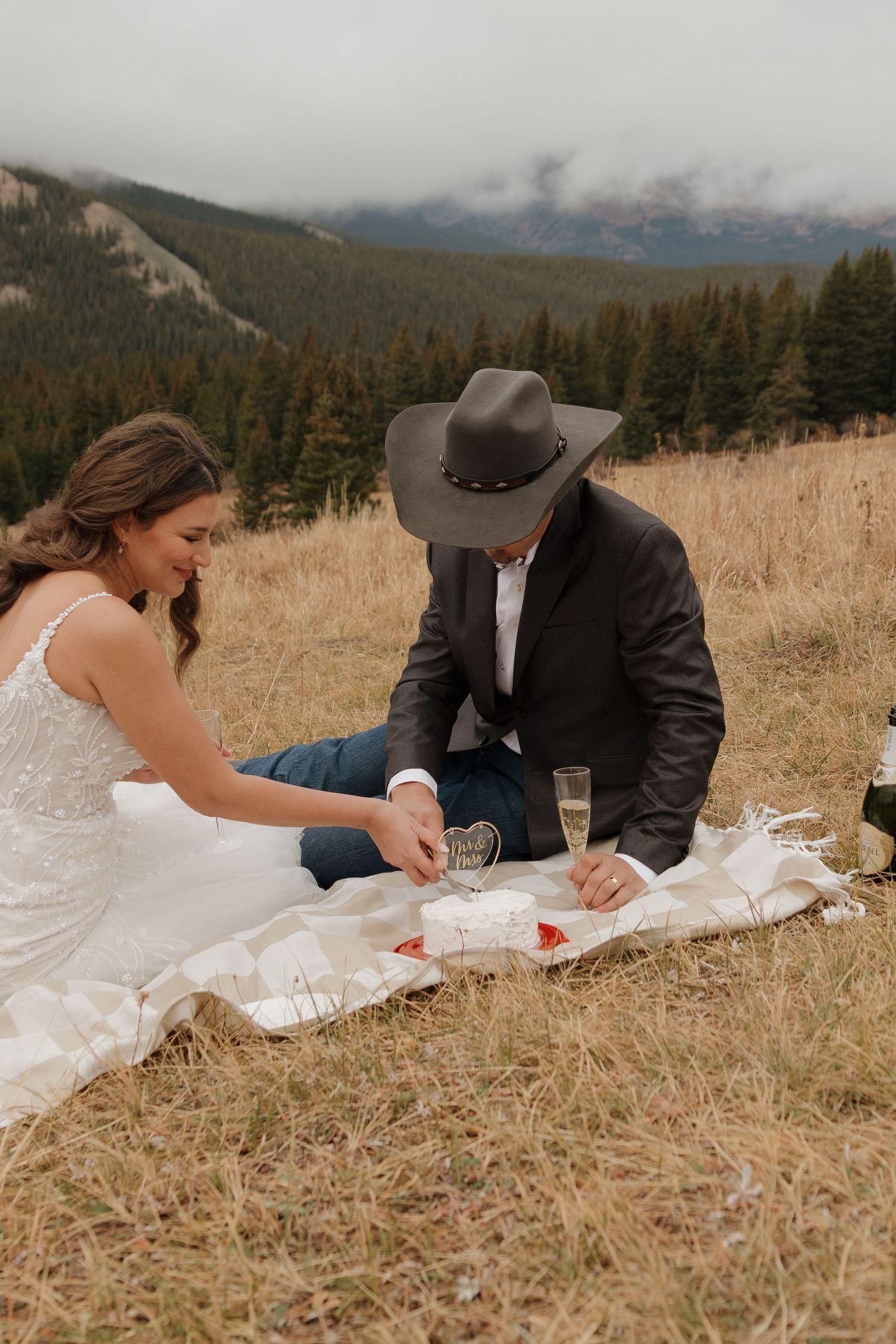 A couple shares drinks on a blanket in a scenic mountain meadow.