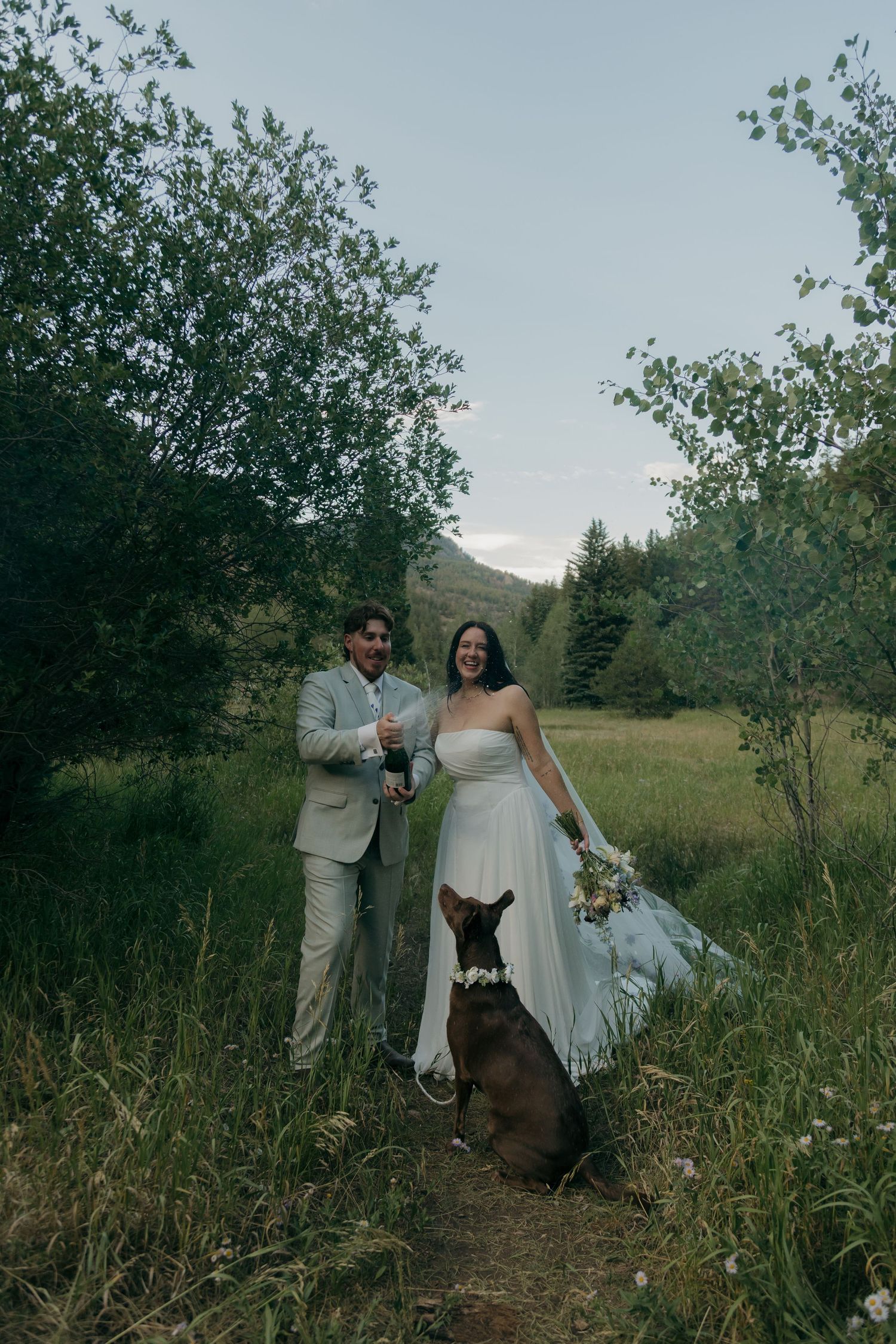 Bride and groom celebrate with champagne beside their dog in a lush mountain meadow.
