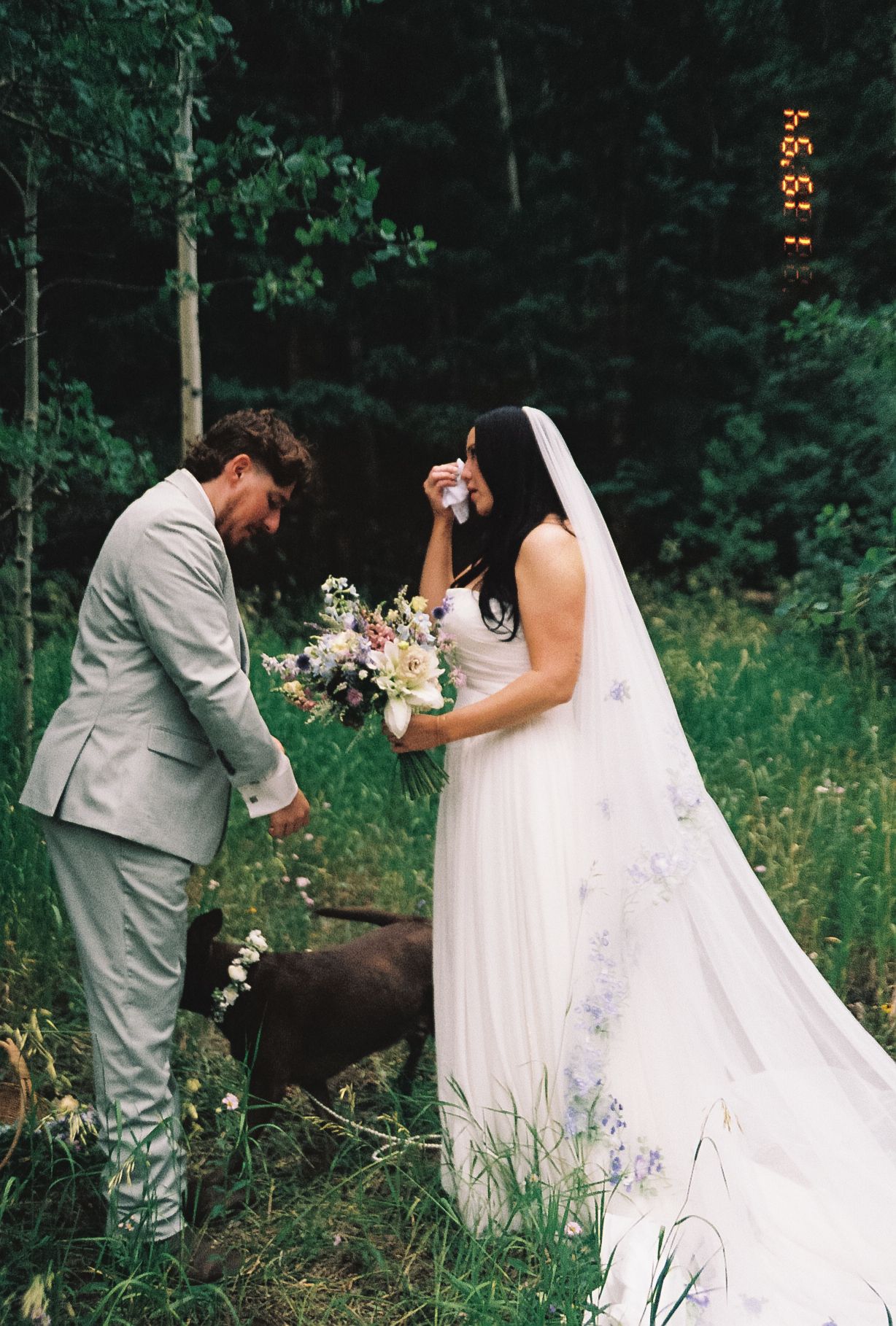 Bride wiping tears during emotional first look with groom and dog in lush green aspen forest, film photo style.