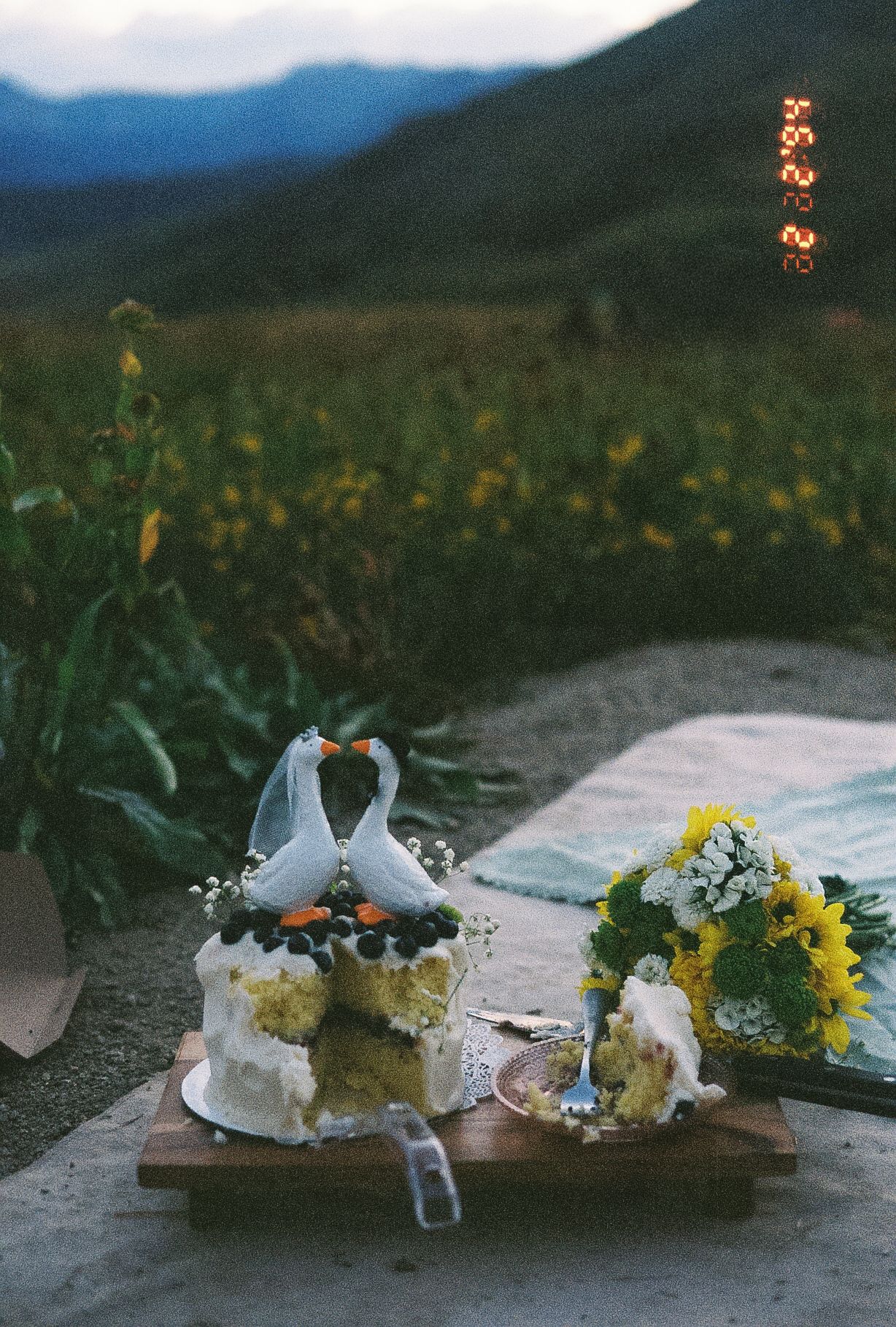 Wedding cake with swan toppers and yellow bouquet on wooden board in mountain meadow at dusk.