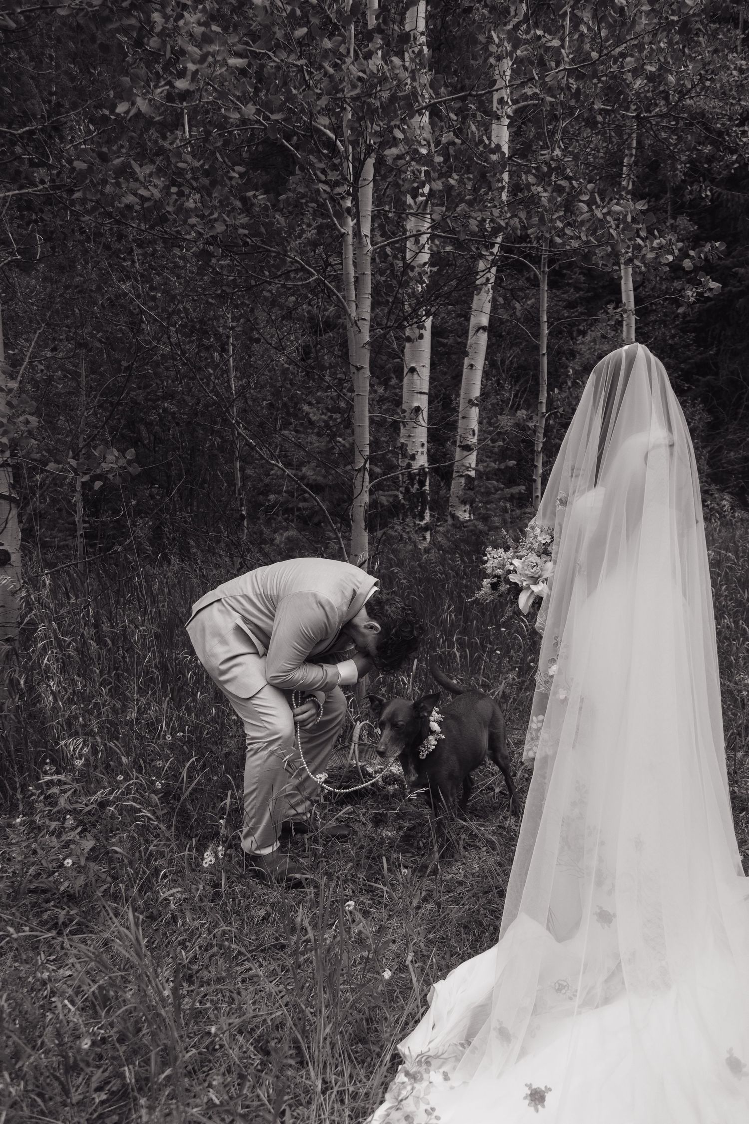 Black and white photo of groom petting dog while bride in cathedral veil stands nearby in woods.