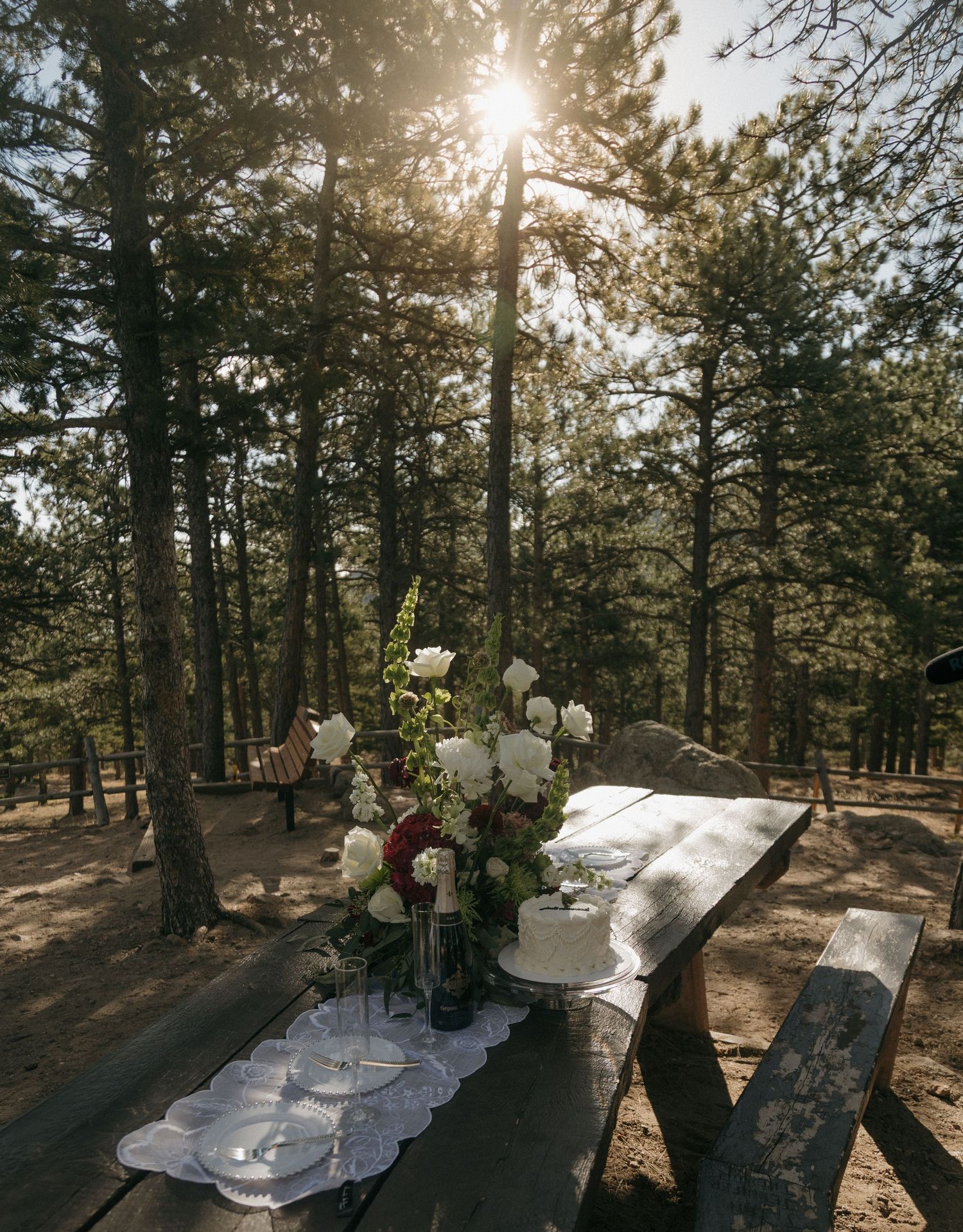 Rustic outdoor wedding reception table with white floral centerpiece set among tall pine trees in golden sunlight.