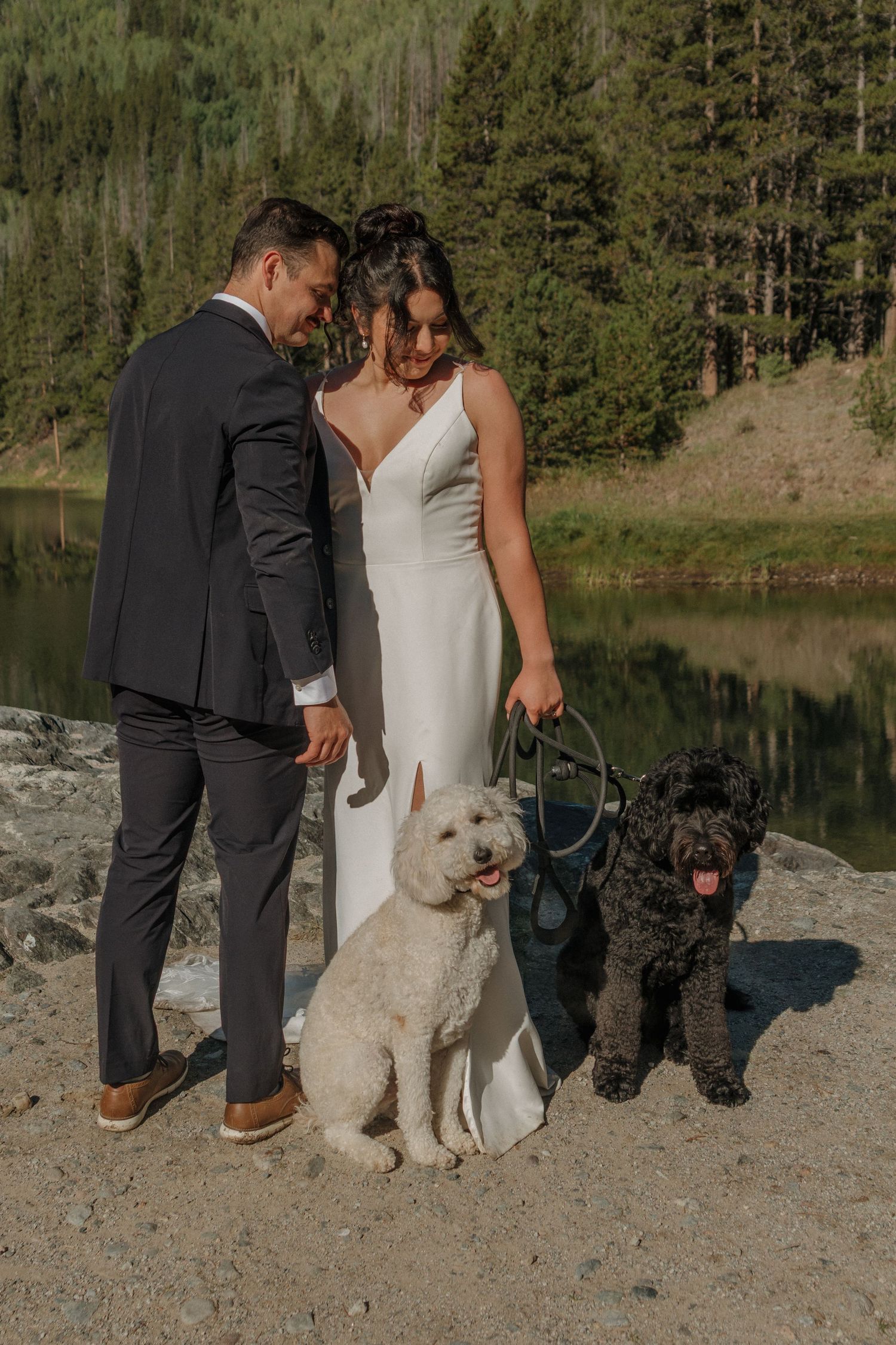 A couple poses with their three dogs on rocky terrain beside a mountain lake.