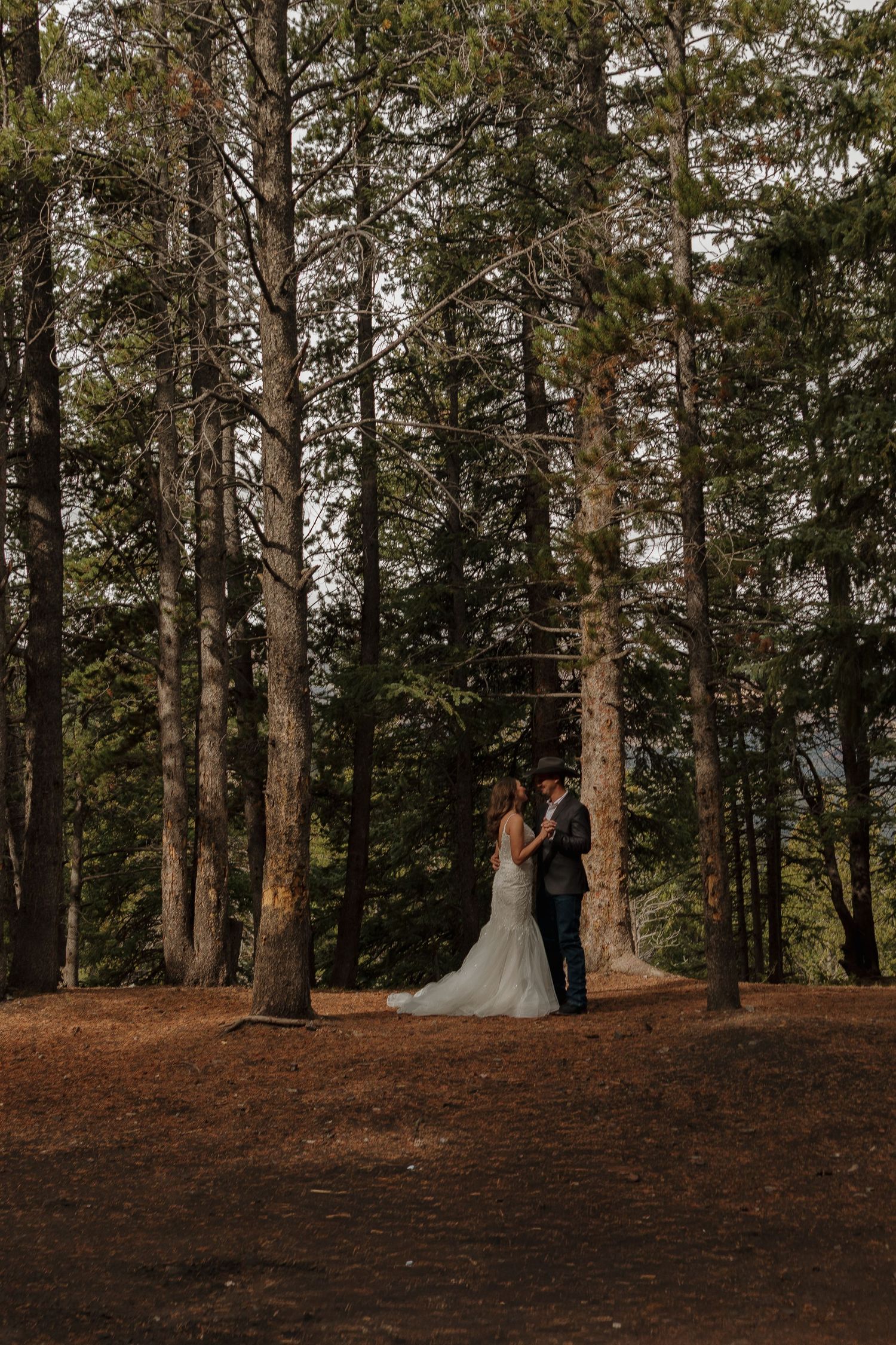 A wedding ceremony in a beautiful forest setting surrounded by tall pine trees.